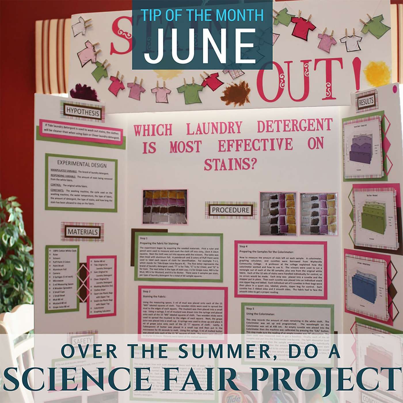 Science Fair Project {Homeschool Science Tip of the Month June 2017}