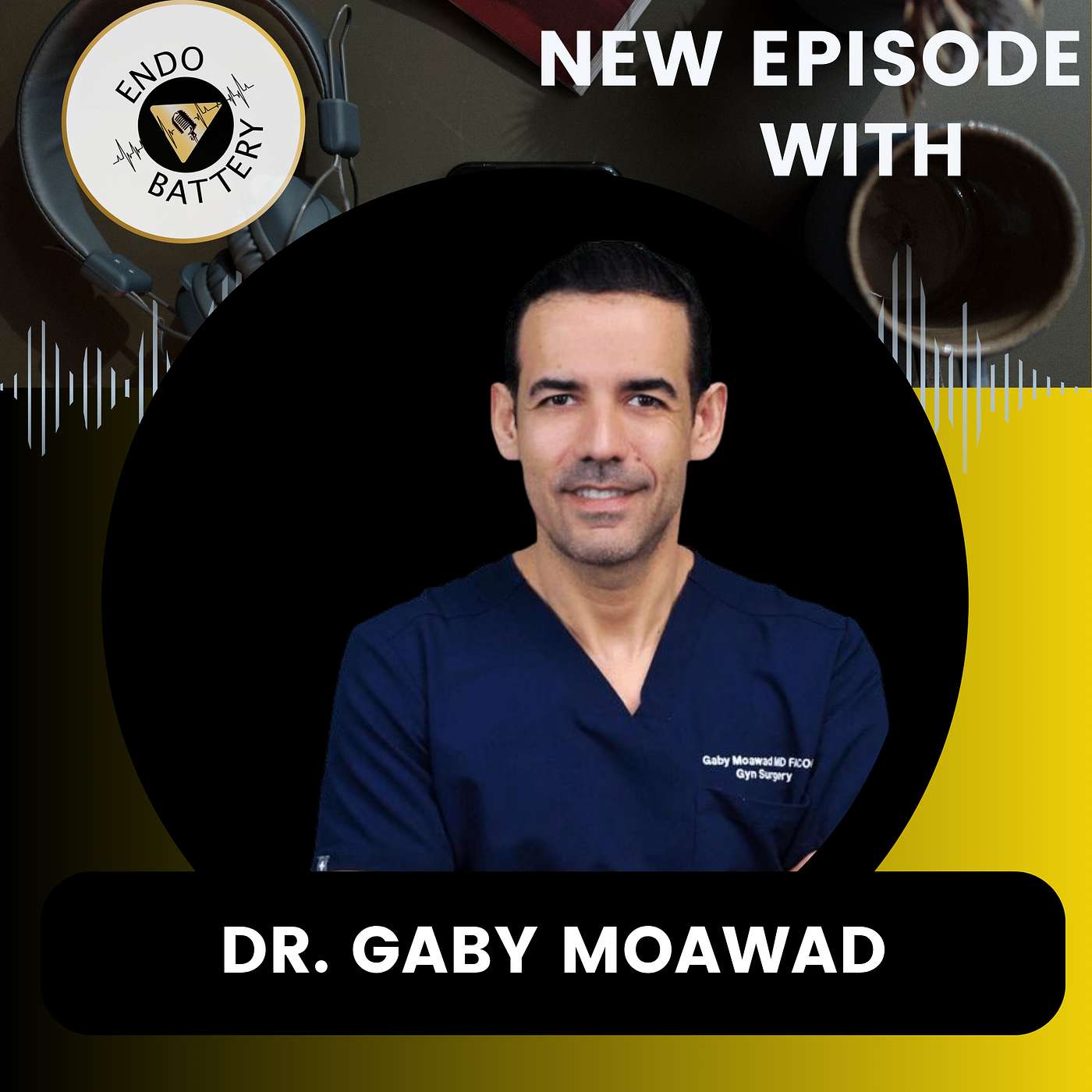 From Microbiome To Blood Vessels: Why Treating Endometriosis Takes A Whole-Body Strategy With Dr. Gaby Moawad episode artwork