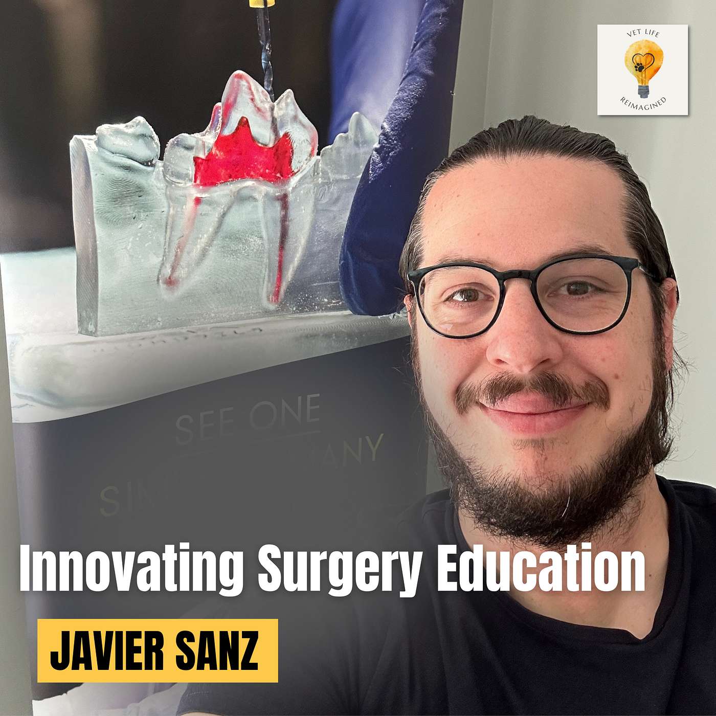 3D Printing in Veterinary Surgery - Turning Fear into the Future of Vet Med (Dr. Javier Sanz) episode artwork