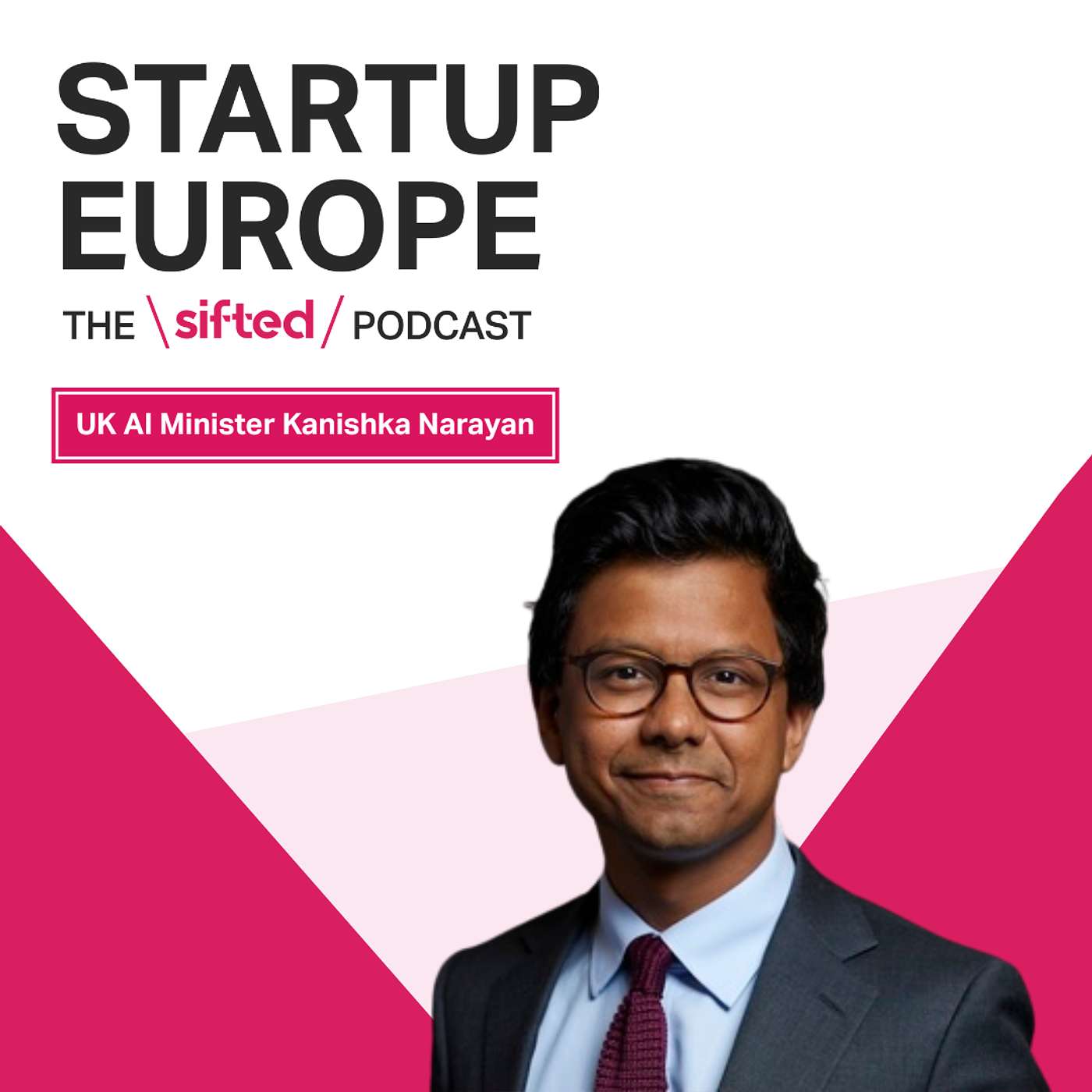 UK AI minister Kanishka Narayan: “The role I have is the best job going”