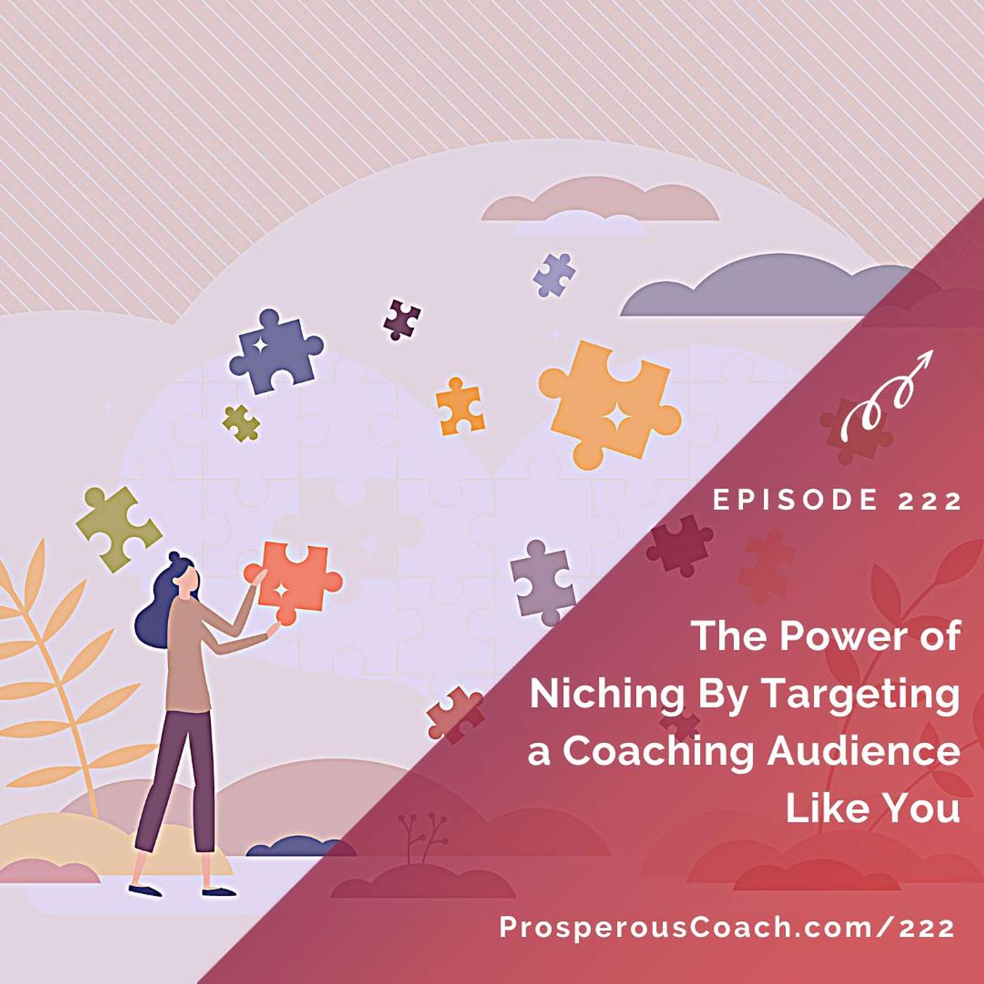 222: The Power of Niching By Targeting a Coaching Audience Like You