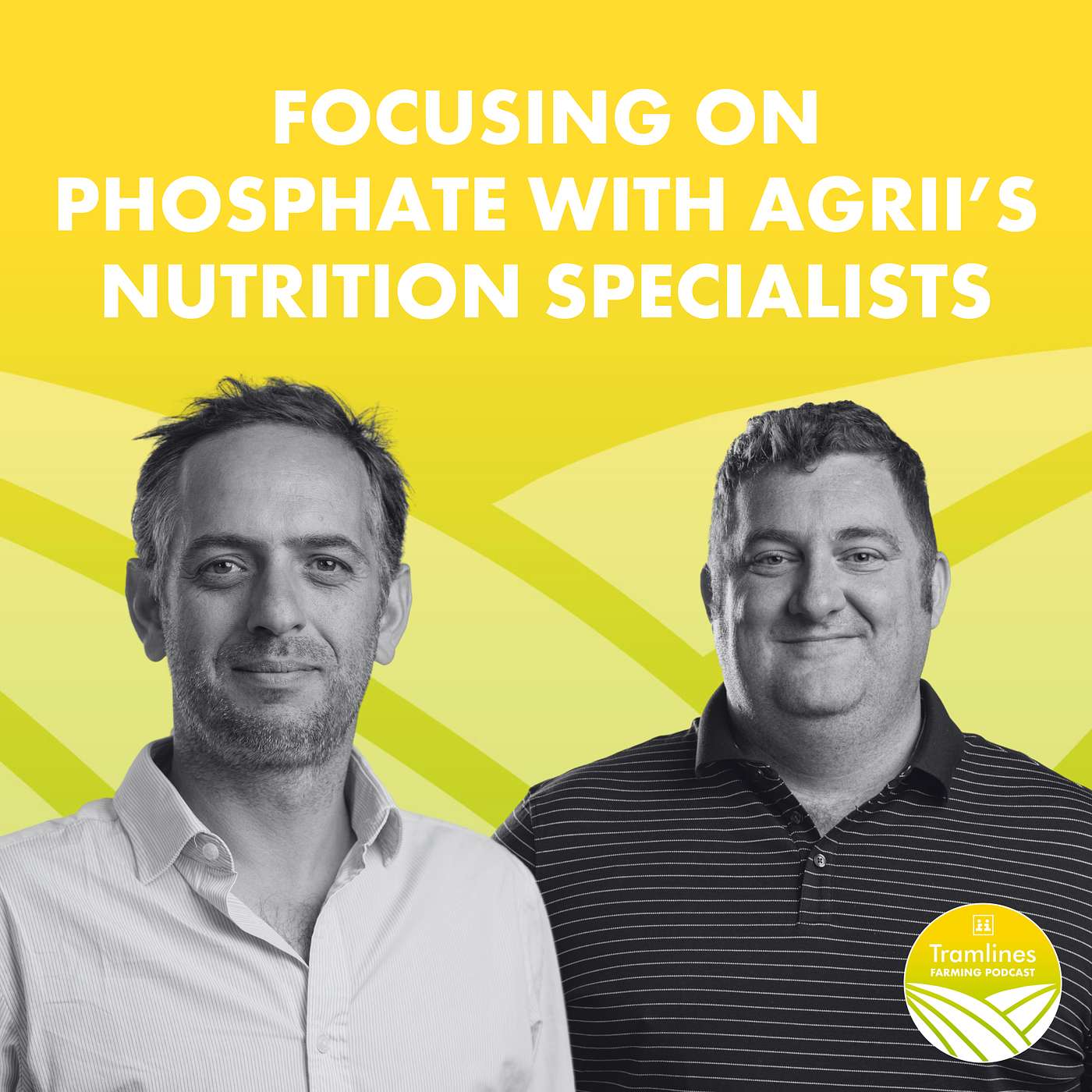 Focusing on Phosphate with Agrii's Nutrition Specialists