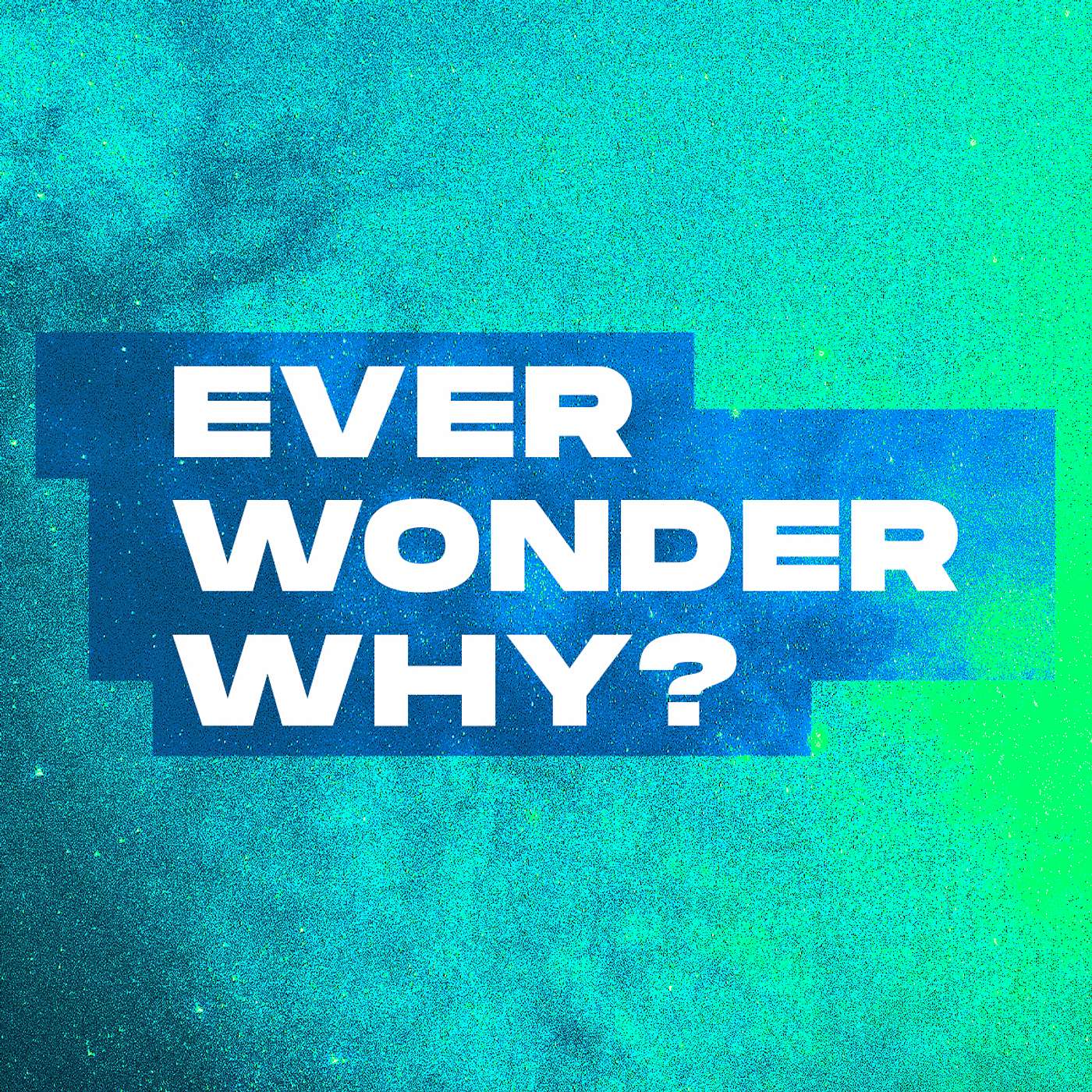 Ever Wonder Why?: Answering Multiple Questions
