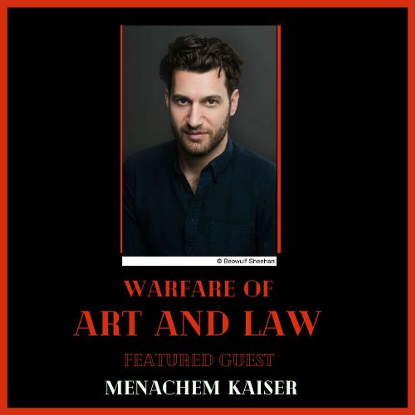 Warfare of Art & Law Podcast