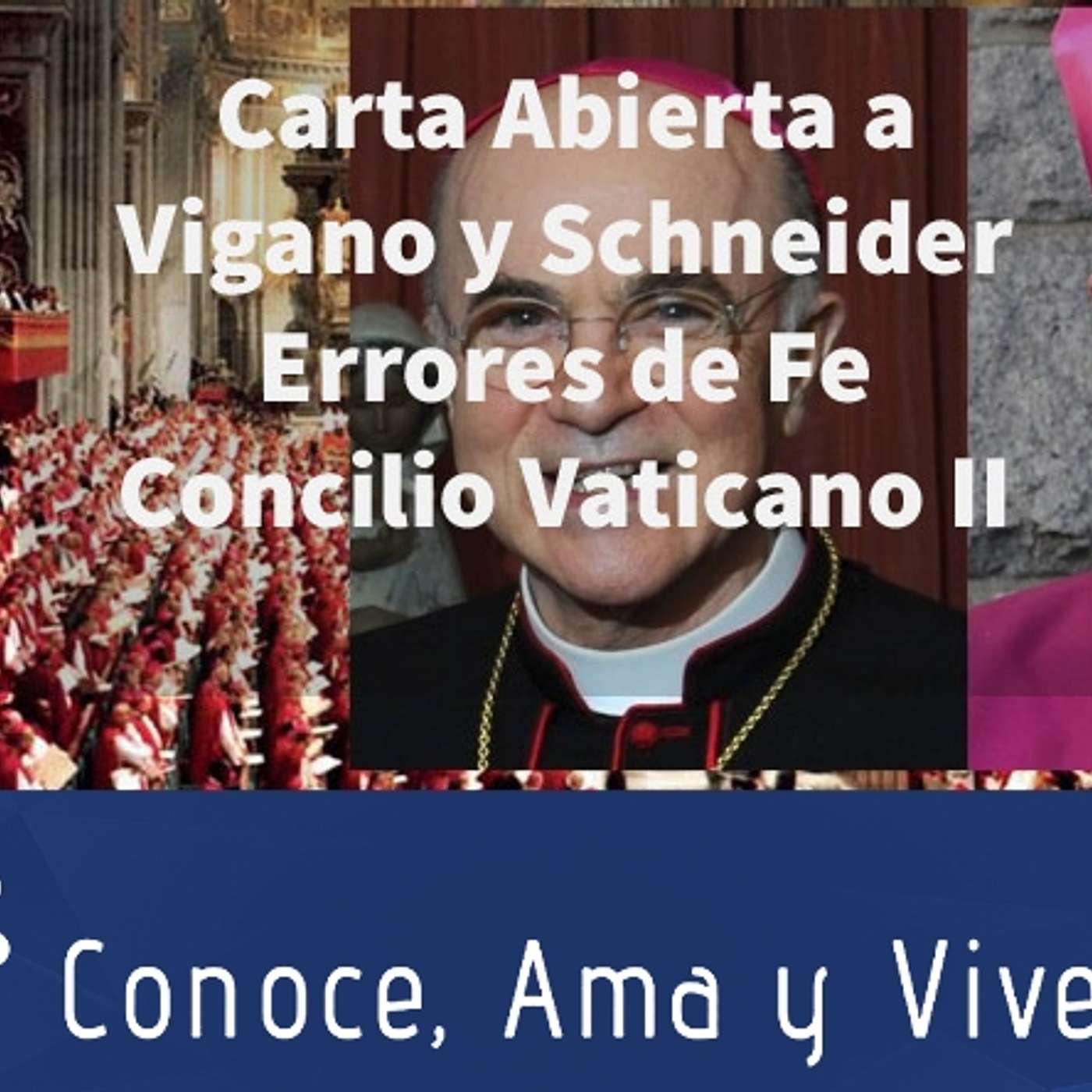 Episodio 302: Errores dañinos a la Fe Católica 🚫 Concilio Vaticano II 😱 Carta abierta a Vigano y a Schneider 👏 episode artwork