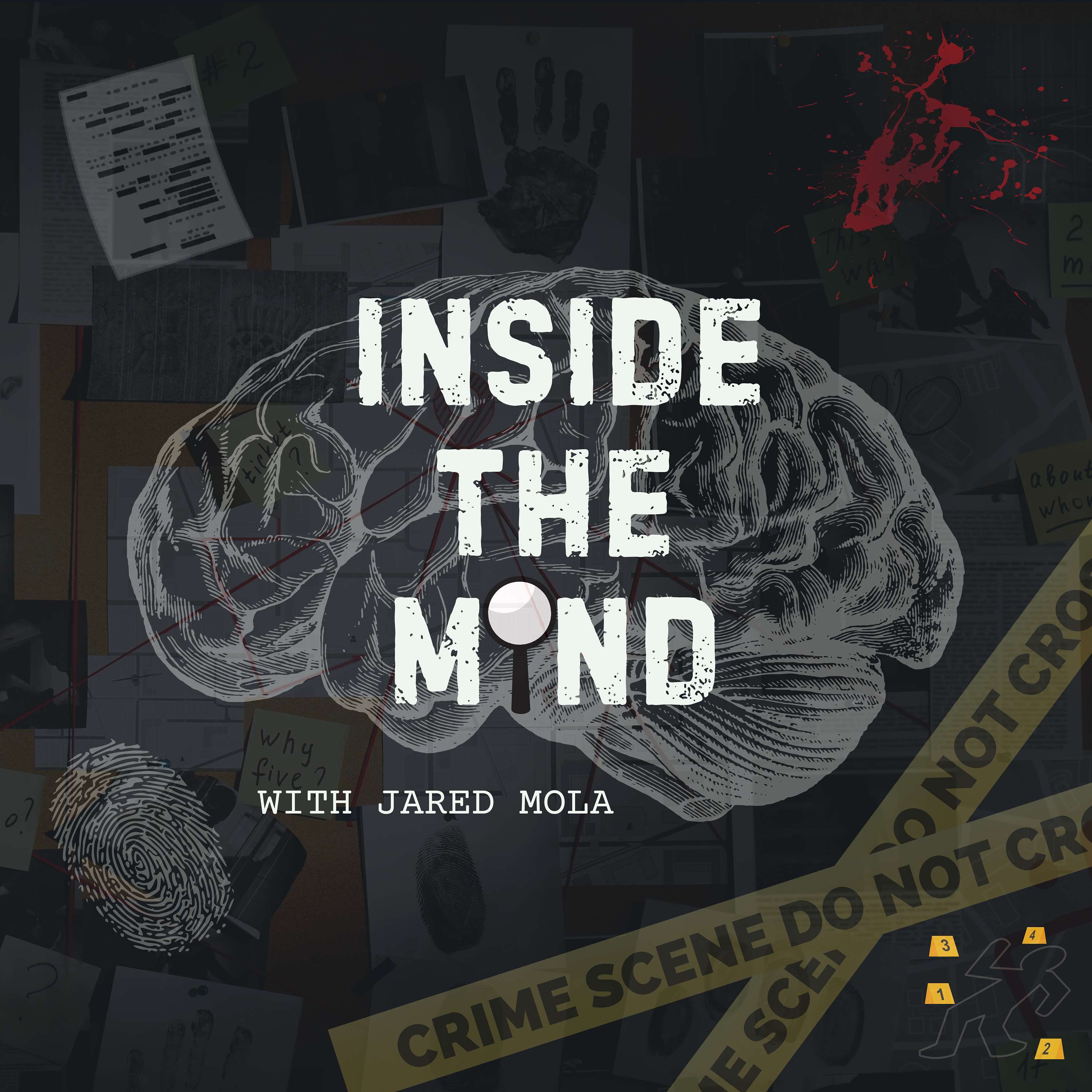 Inside the Mind podcast artwork