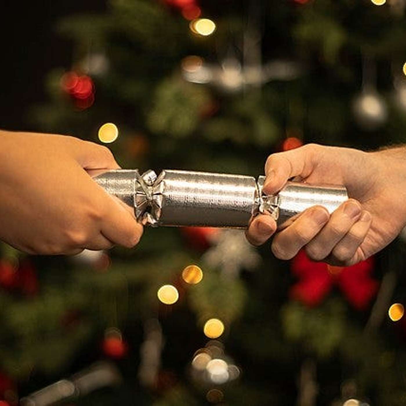 THE SPLENDID BOHEMIANS PRESENT A "DOUBLE TROUBLE" CHRISTMAS CRACKER! TWO HOLIDAY DELICACIES TO GET THE FESTIVITIES STARTED - WITH HARVEY KEITEL AND THE TURTLES. DOUBLE DOWN!!