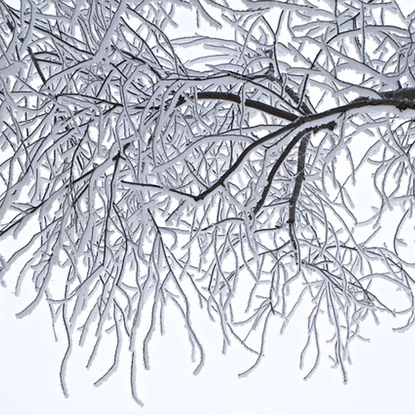 Help with Parkinson\'s