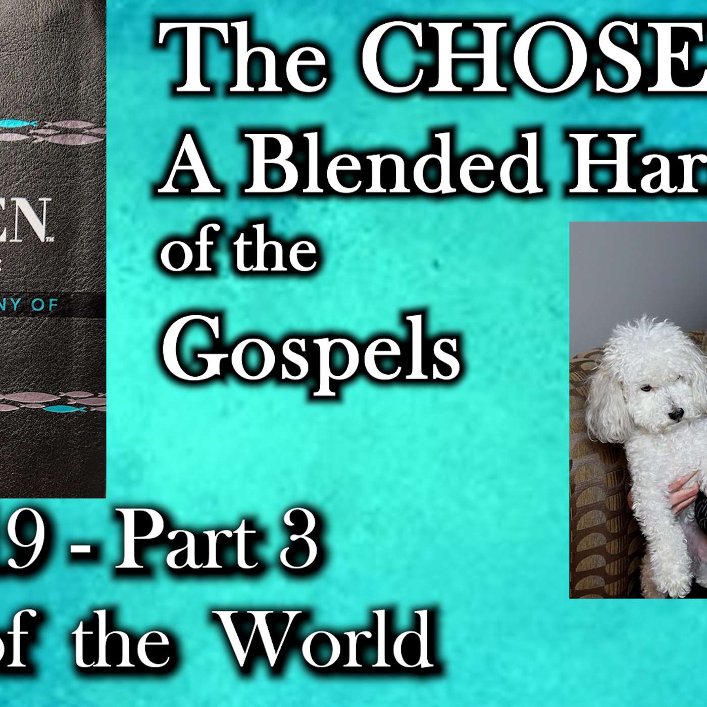 The Chosen Devotionals