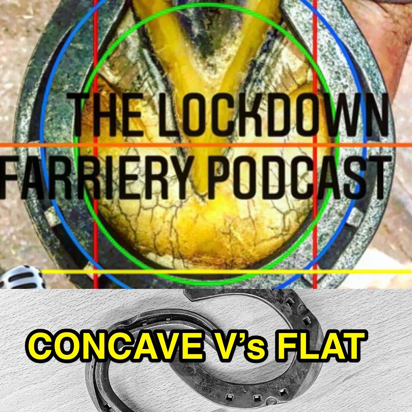 The Lockdown Farriery  Podcast