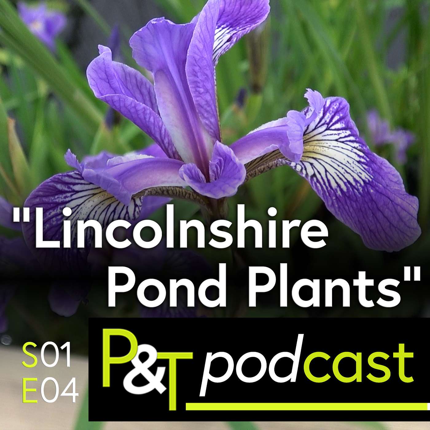 Gardening eBay Business That Moved to an Airfield! (S01E05)