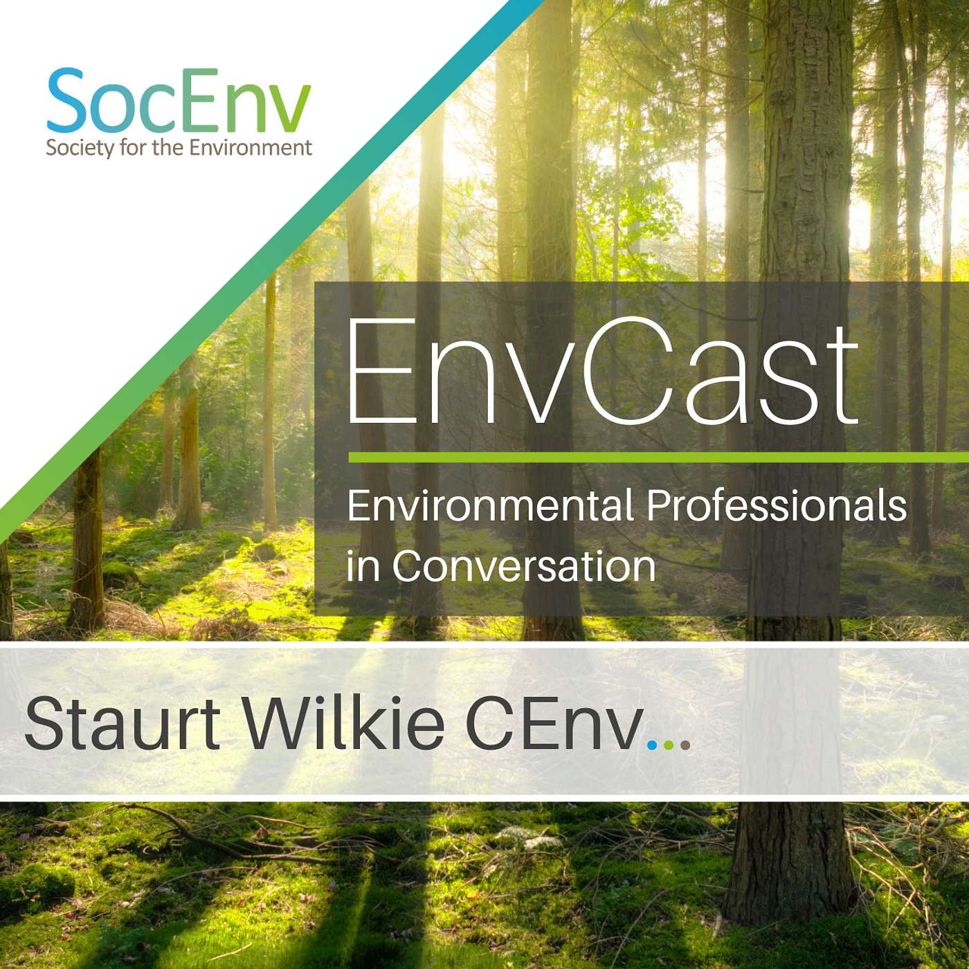 In Conversation with Stuart Wilkie CEnv