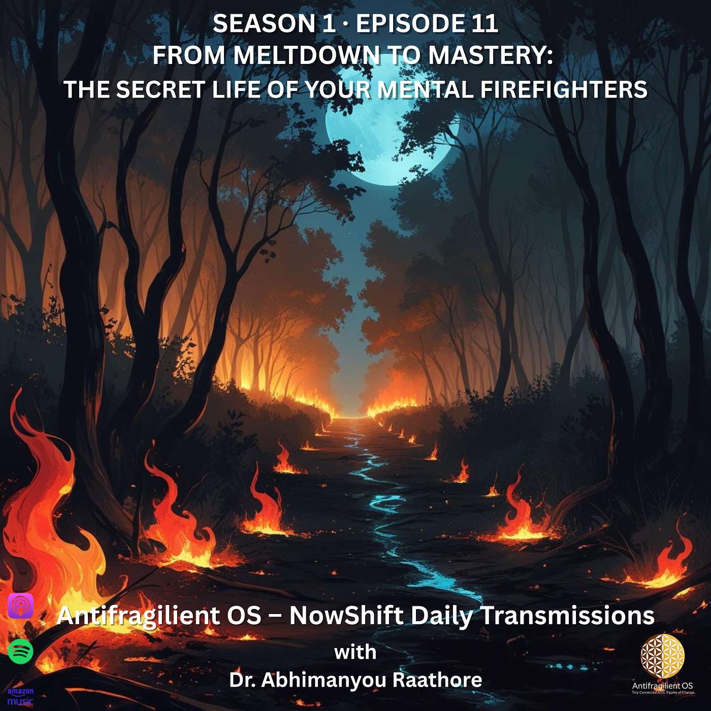From Meltdown to Mastery: The Secret Life of Your Mental Firefighters | NowShift August 08, 2025