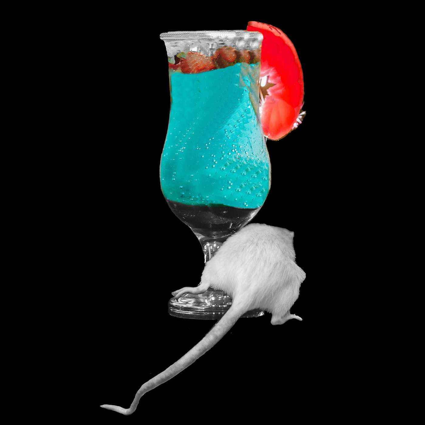 Episode 109:  Dinner Debacle