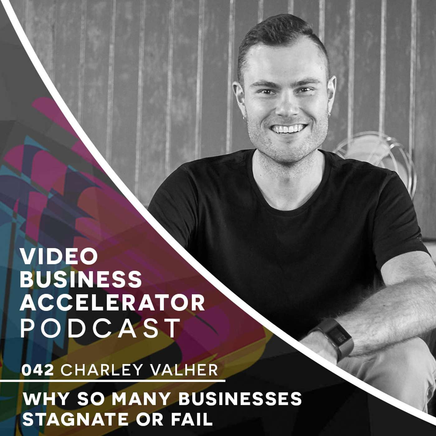 Den Unleashed Part 1- Why so many businesses stagnate or fail episode artwork