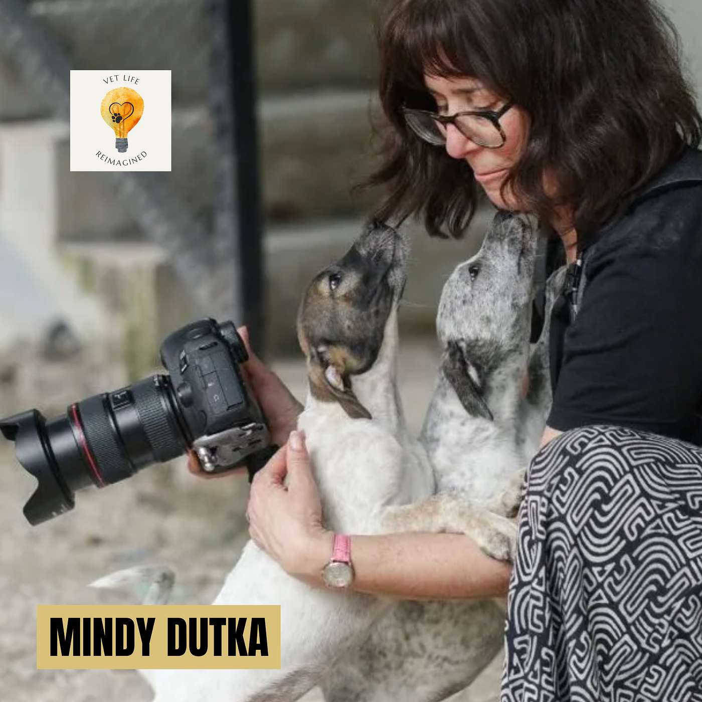 What a Dog Photographer Sees That Veterinarians Don't (Mindy Dutka)