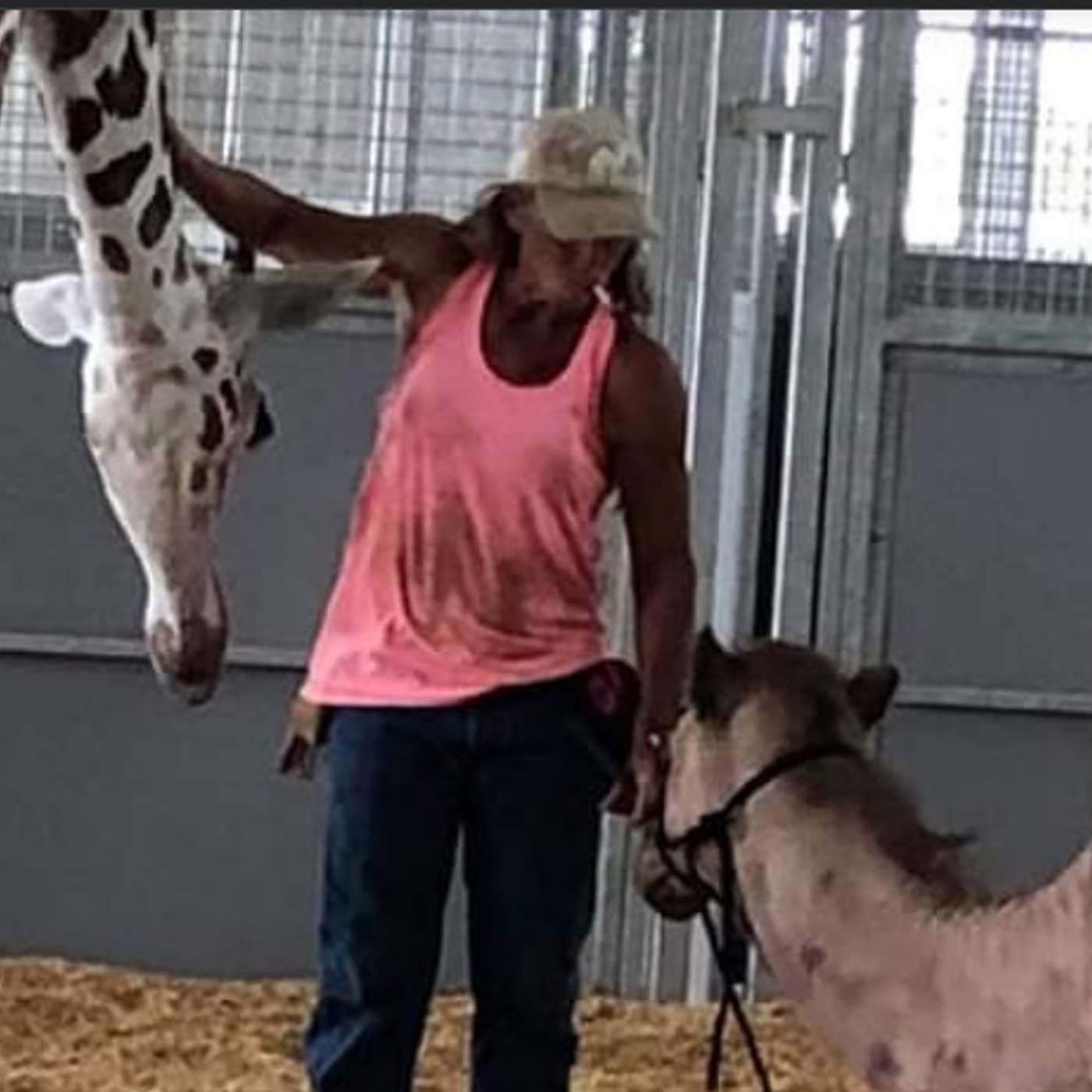 MULE TALK! THE PODCAST ABOUT MULES, MULE TRAINING, AND THE MULE INDUSTRY.
