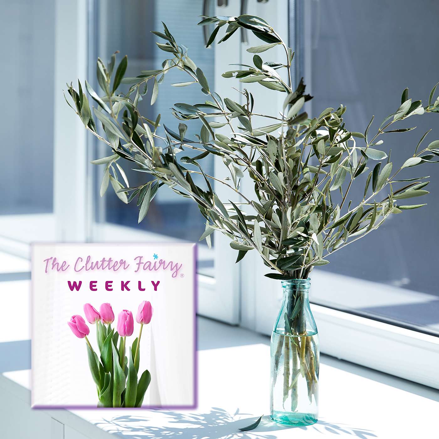 The Clutter Fairy Weekly