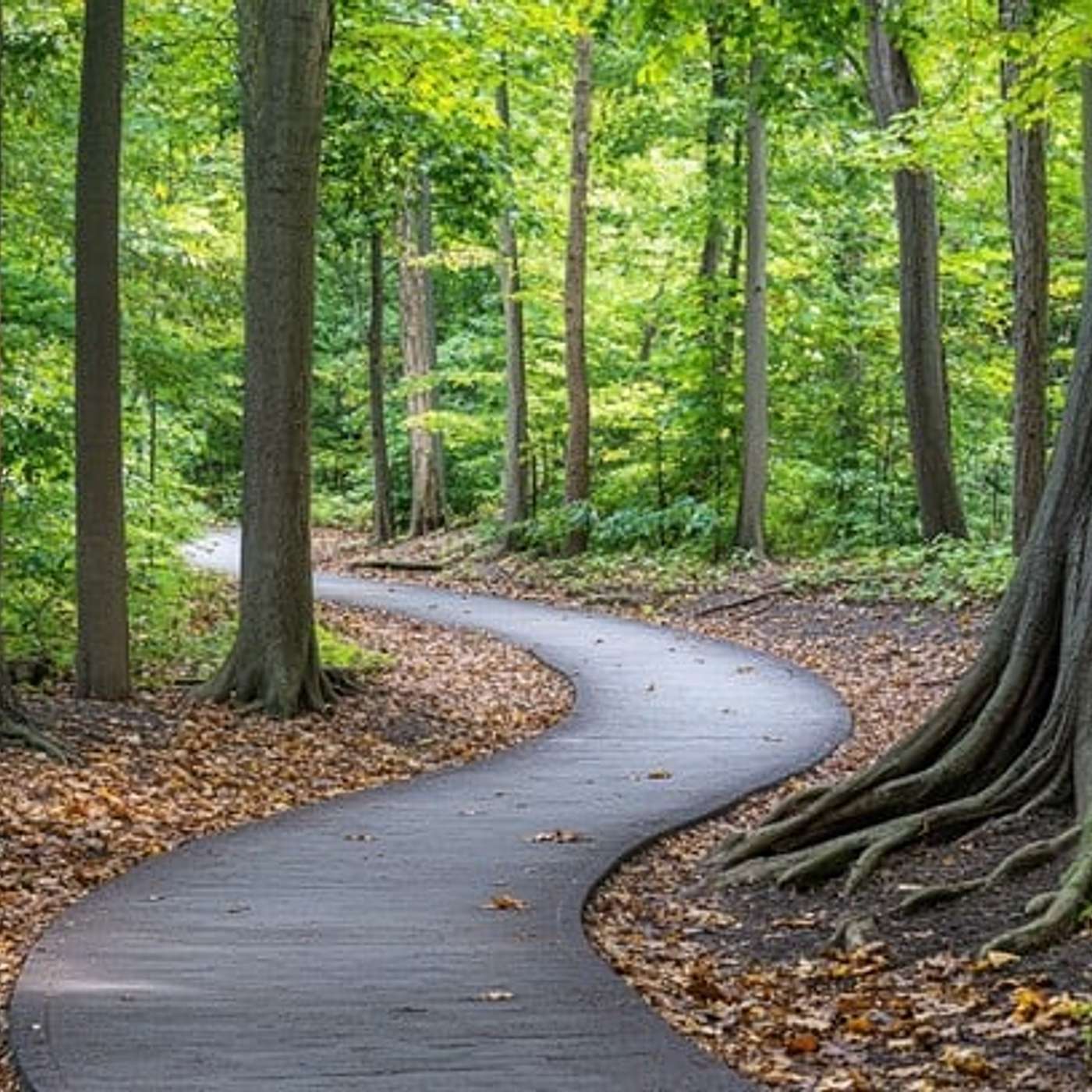 Episode 2332 - On YOUR Path episode artwork