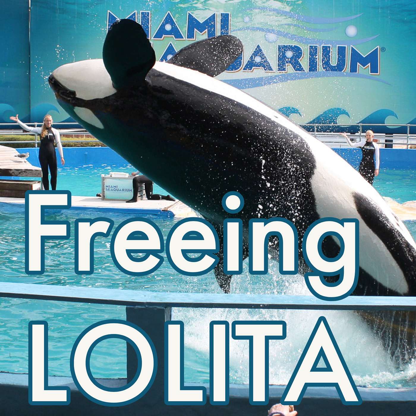 Free Lolita: The Seaquarium plans to end five decades of captivity for a killer whale episode artwork