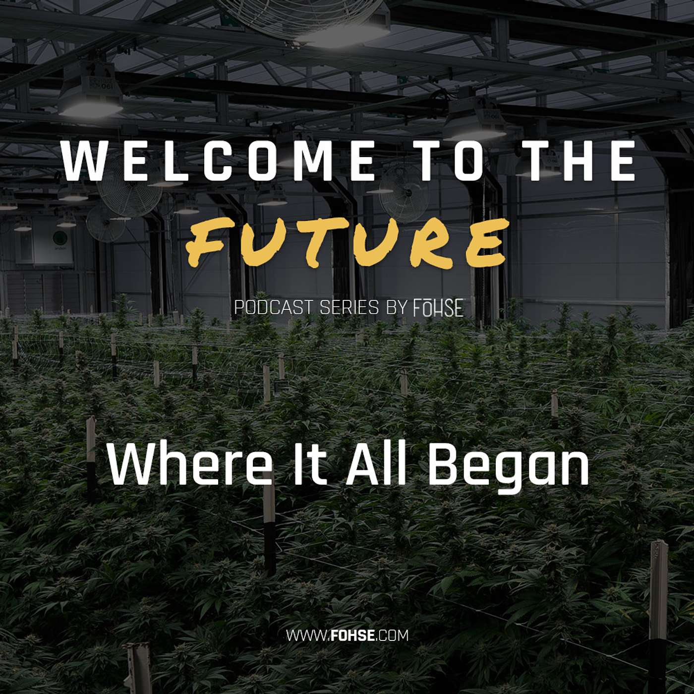 Fohse: Where It All Began