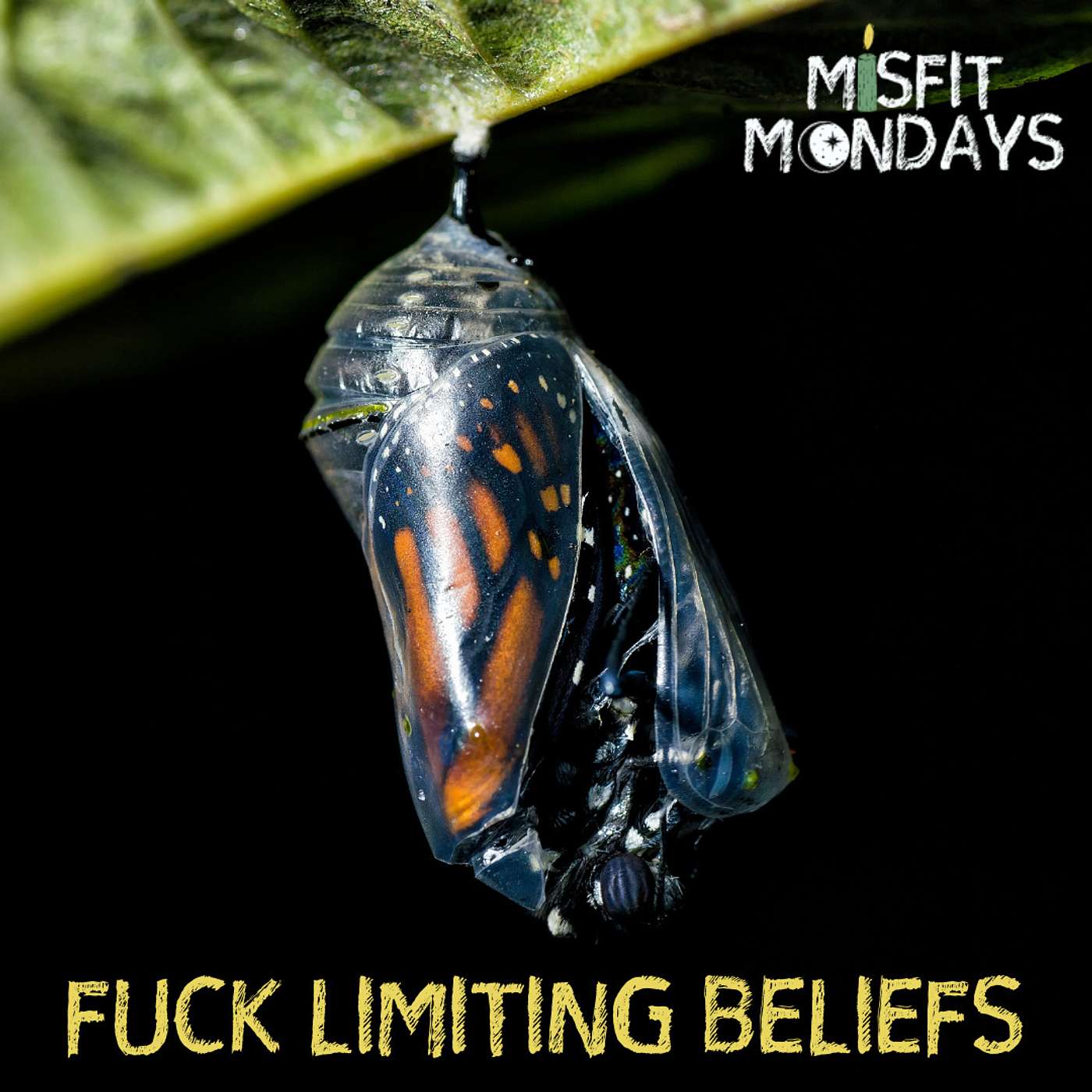 Misfit Mondays