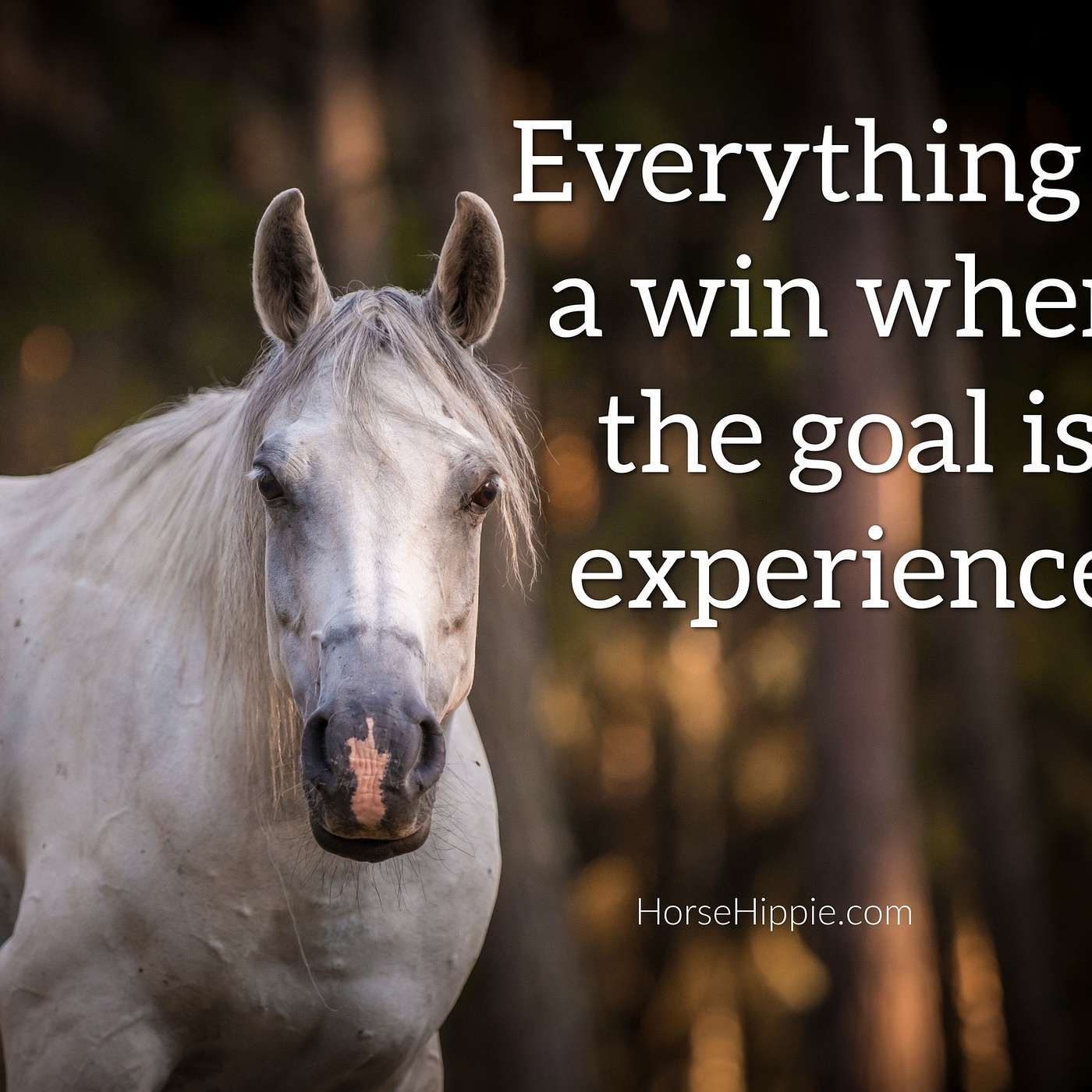 The Goal is Experience