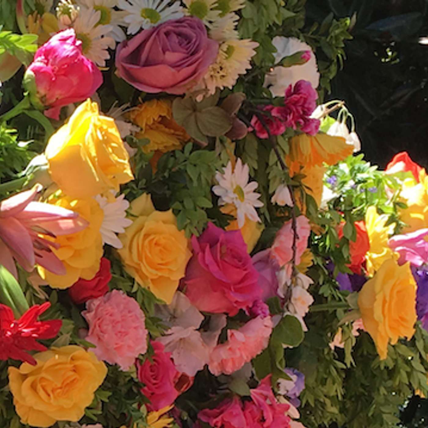 Westminster Talking the Text