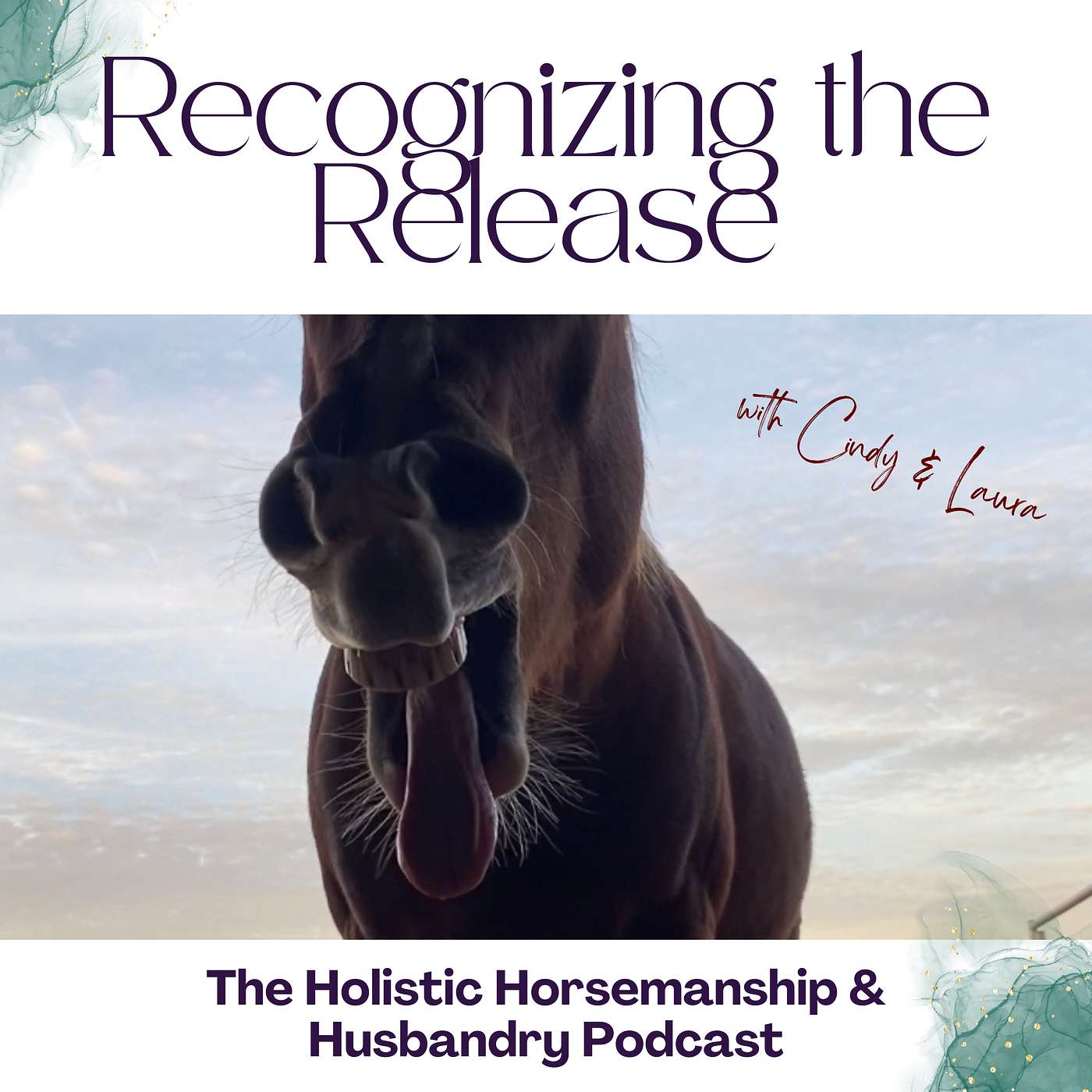 The Holistic Horsemanship and Husbandry Podcast