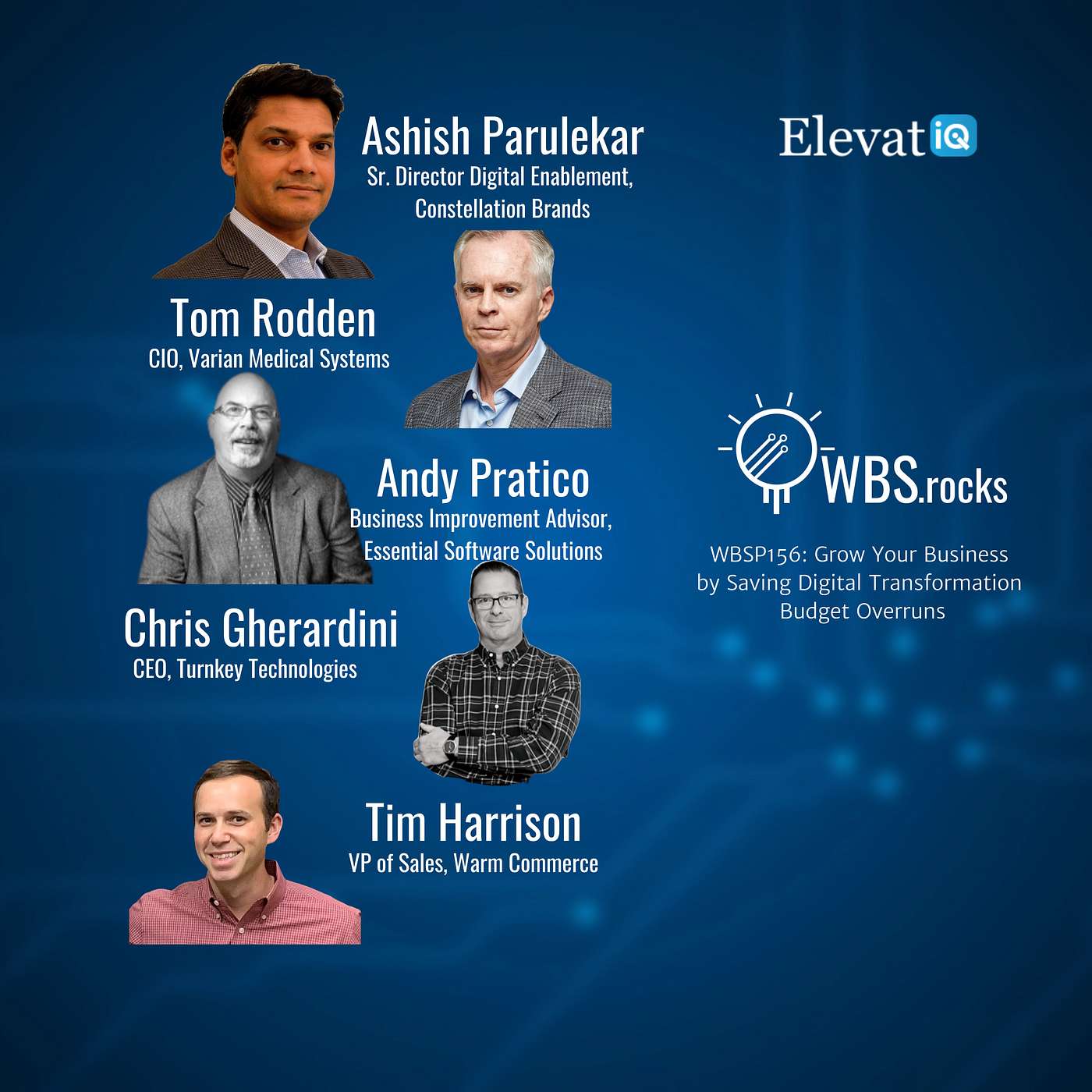 WBSP156: Grow Your Business by Saving Digital Transformation Budget Overruns, a Live Interview w/ a Panel of Experts