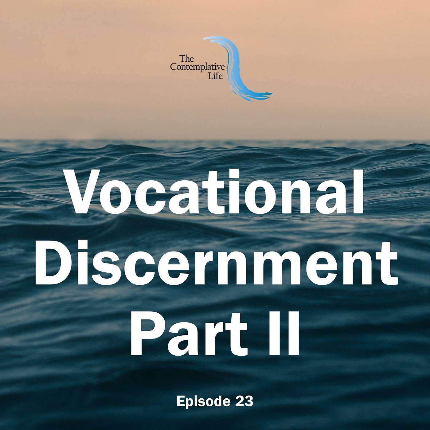 Ep 23 Vocational Discernment, Part II