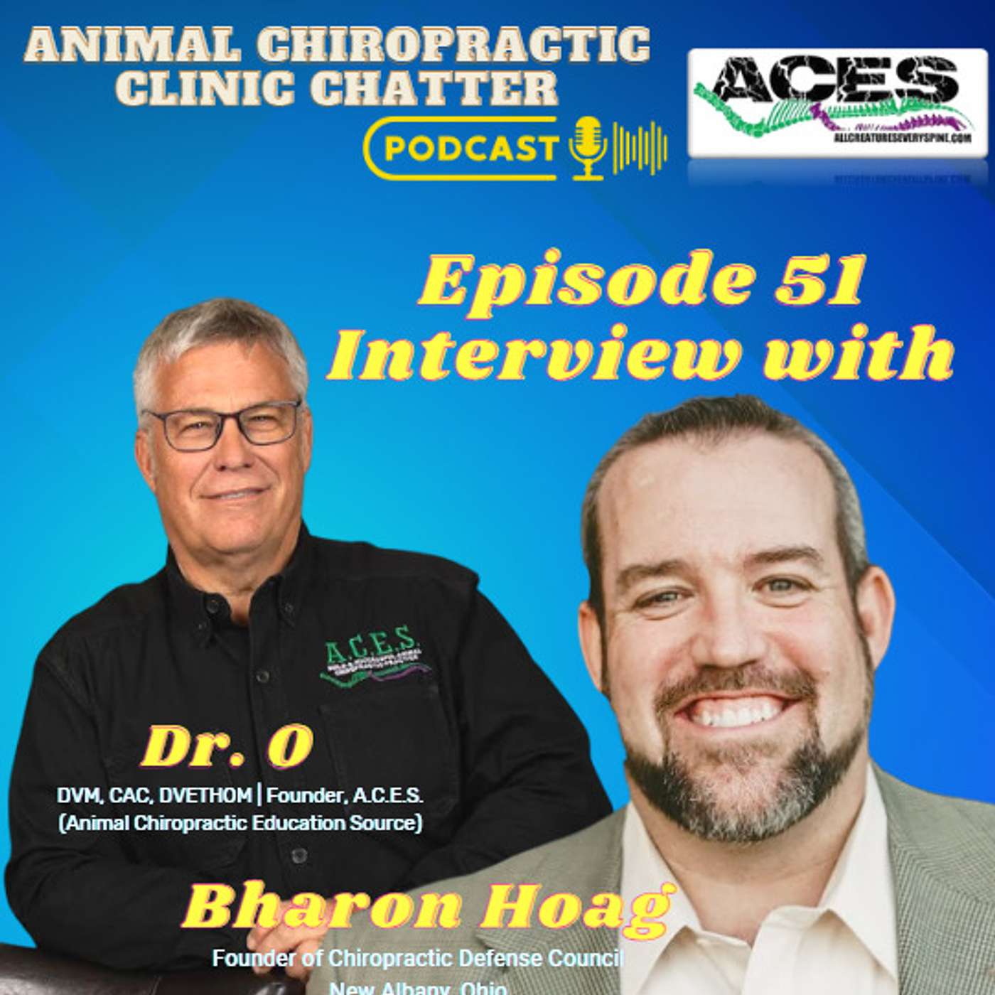Animal Chiropractic Clinic Chatter