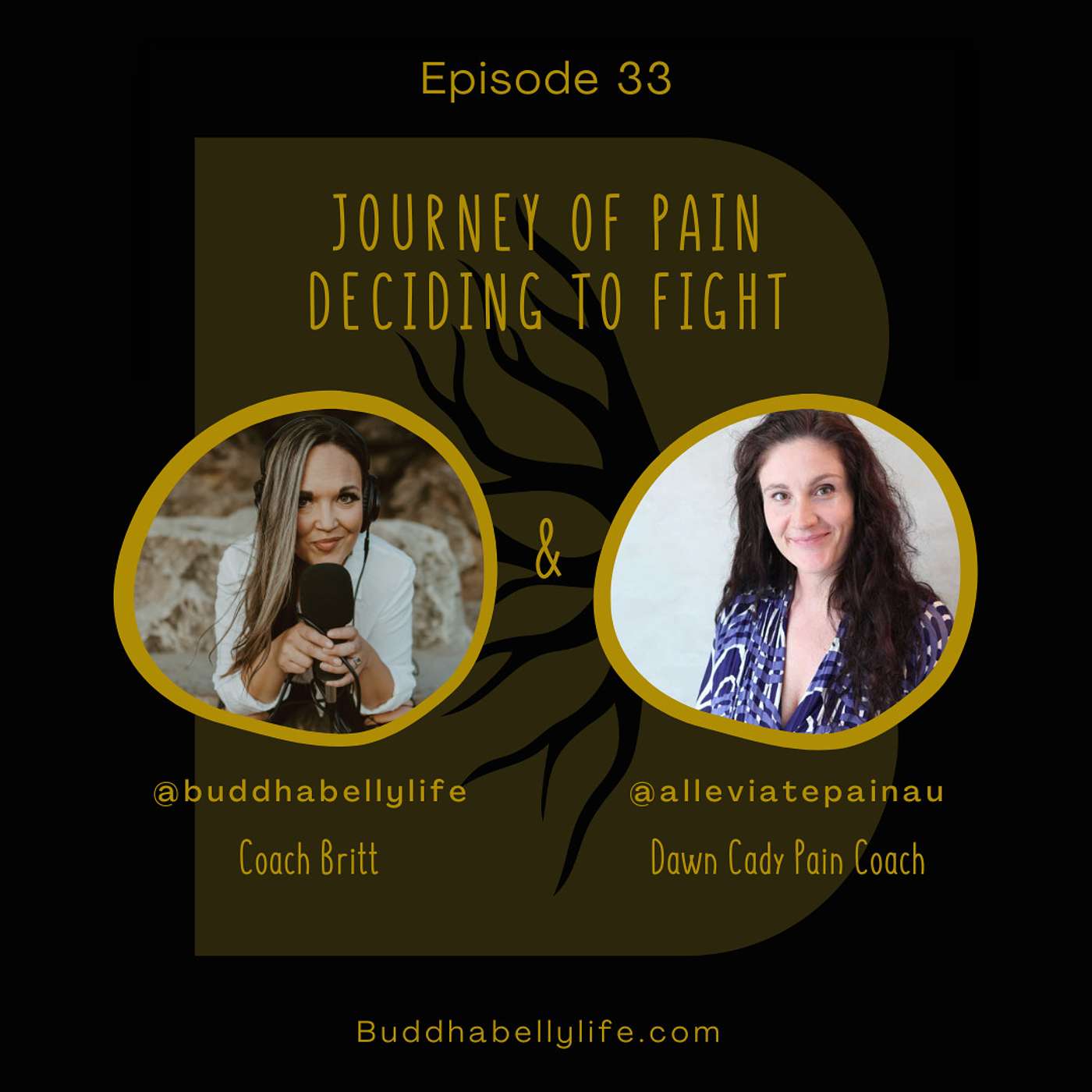Buddha Belly Life: Simple Healing- Mind to Microbiome