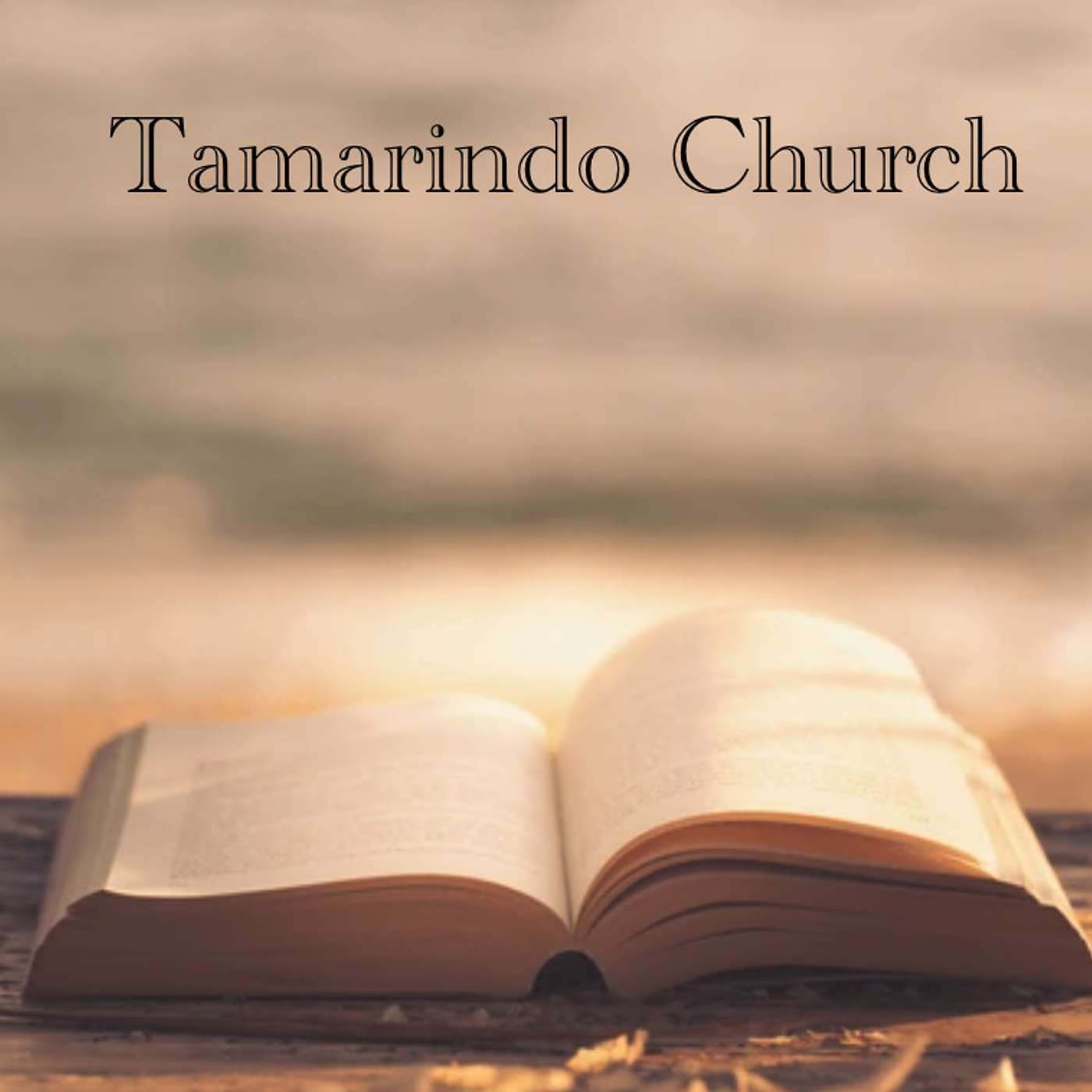 Tamarindo Church