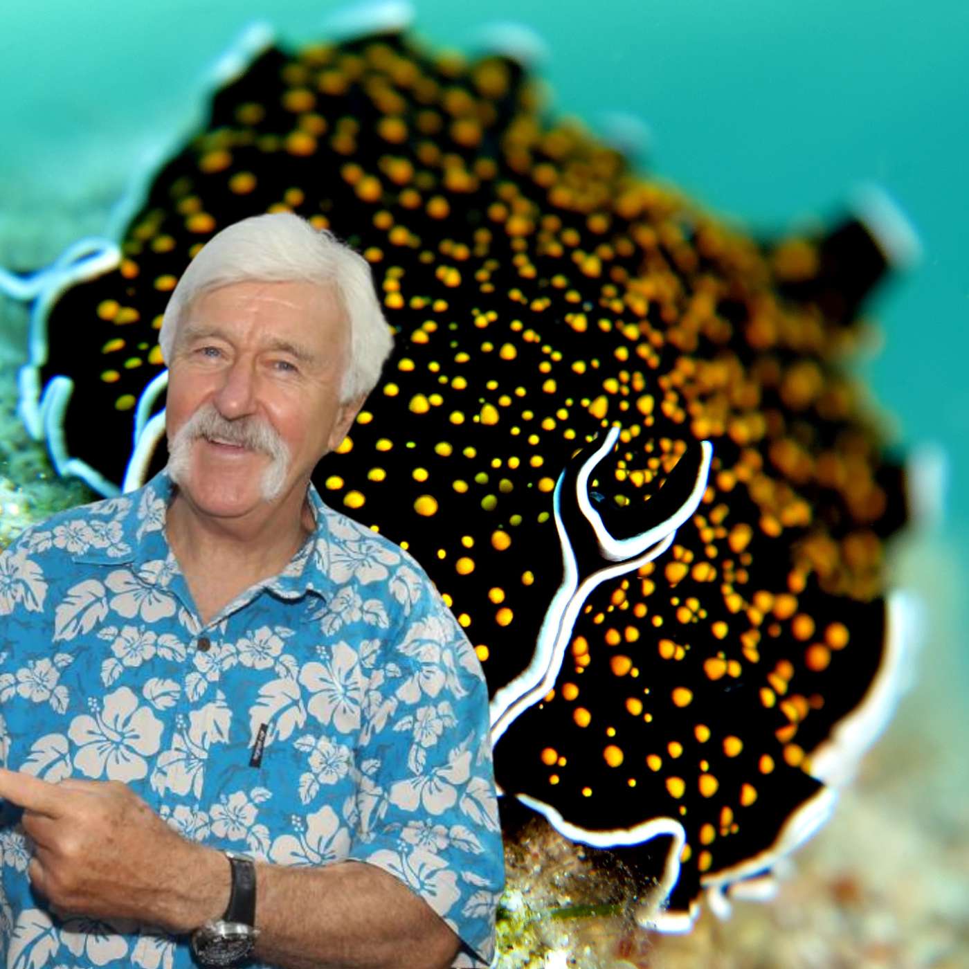 Word on the Reef