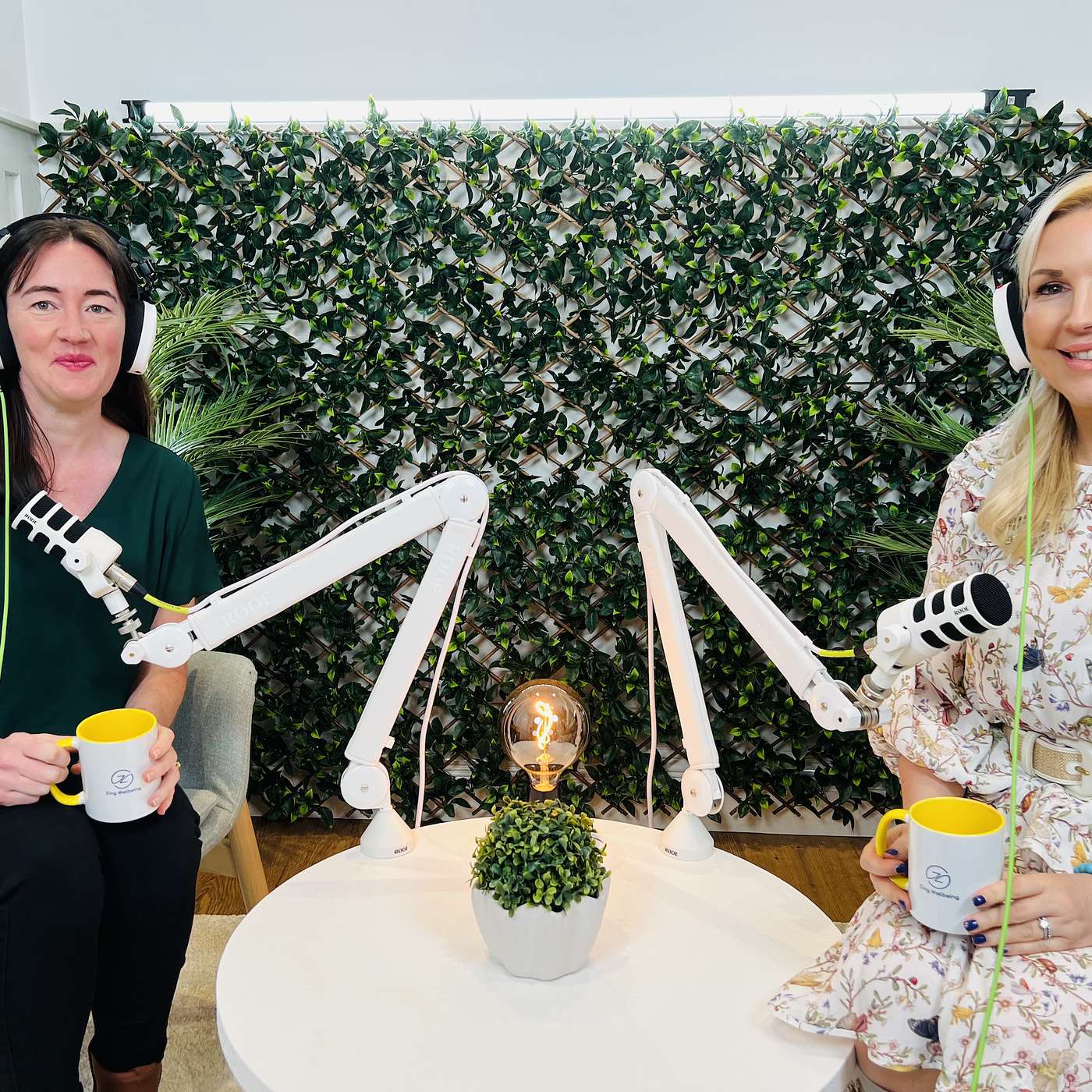 Zing Wellbeing Podcast