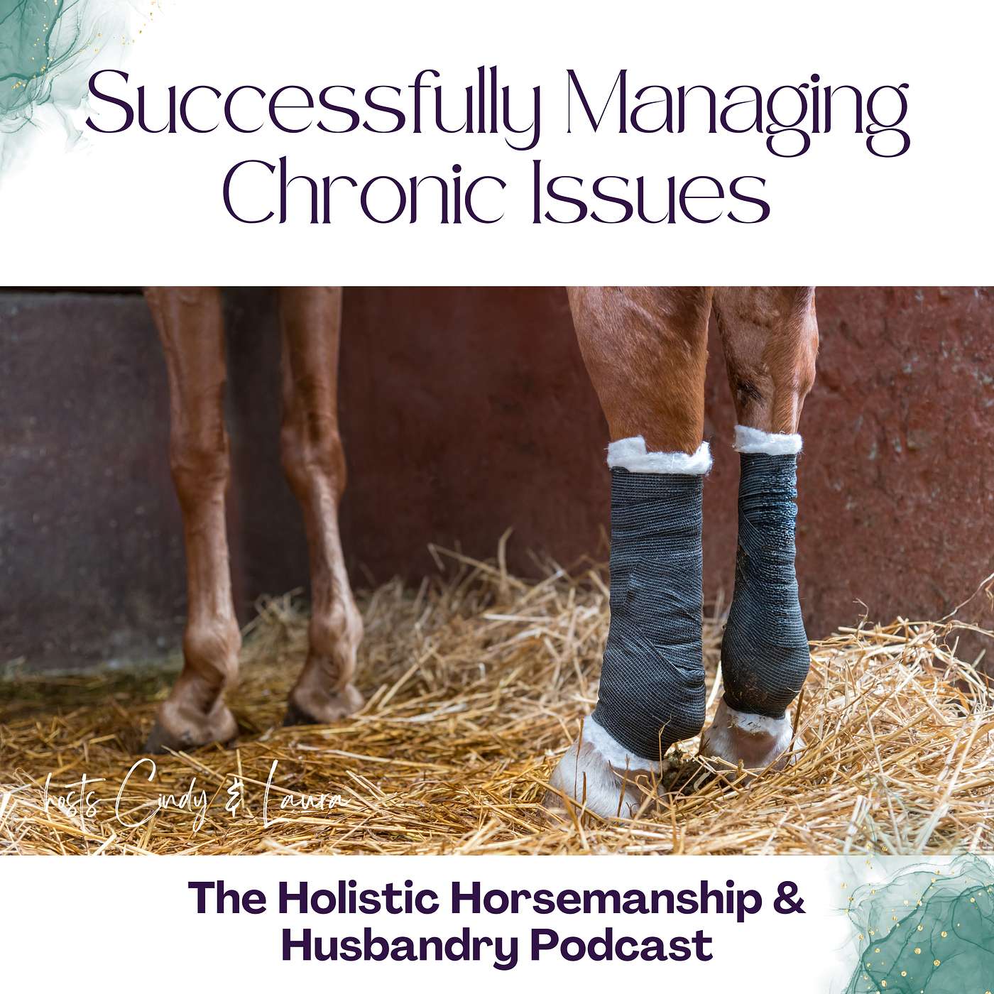 The Holistic Horsemanship and Husbandry Podcast