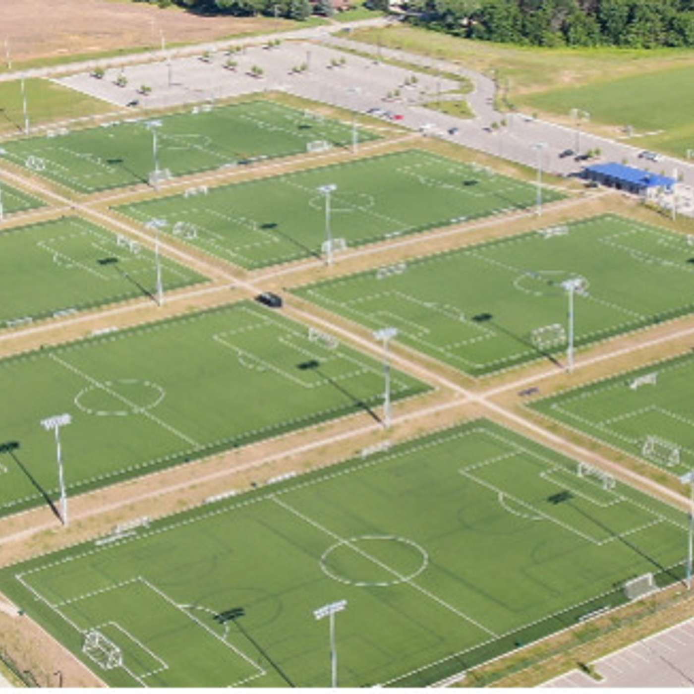 Fresh Cut Grass