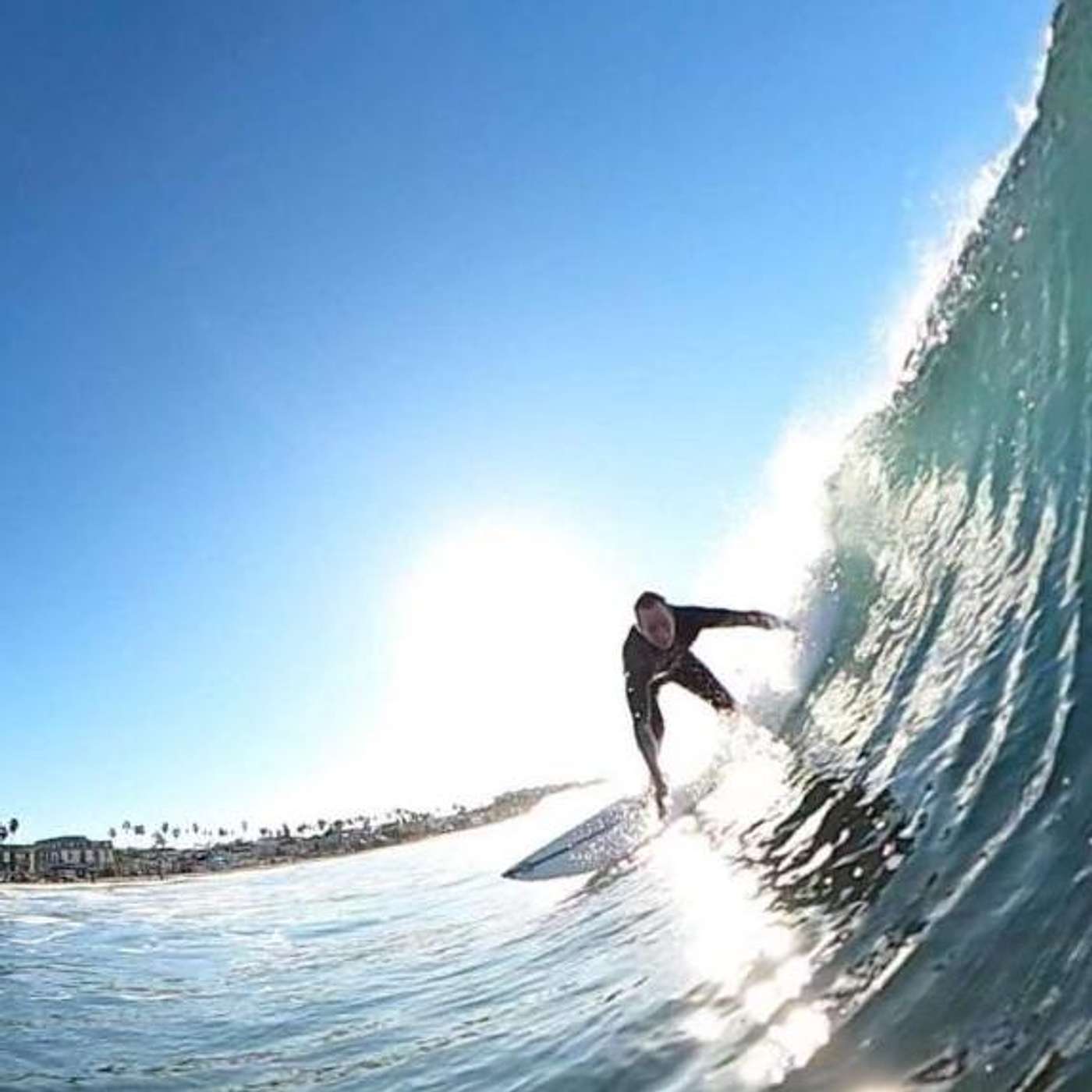 Wilding Fifty: Surf Tales