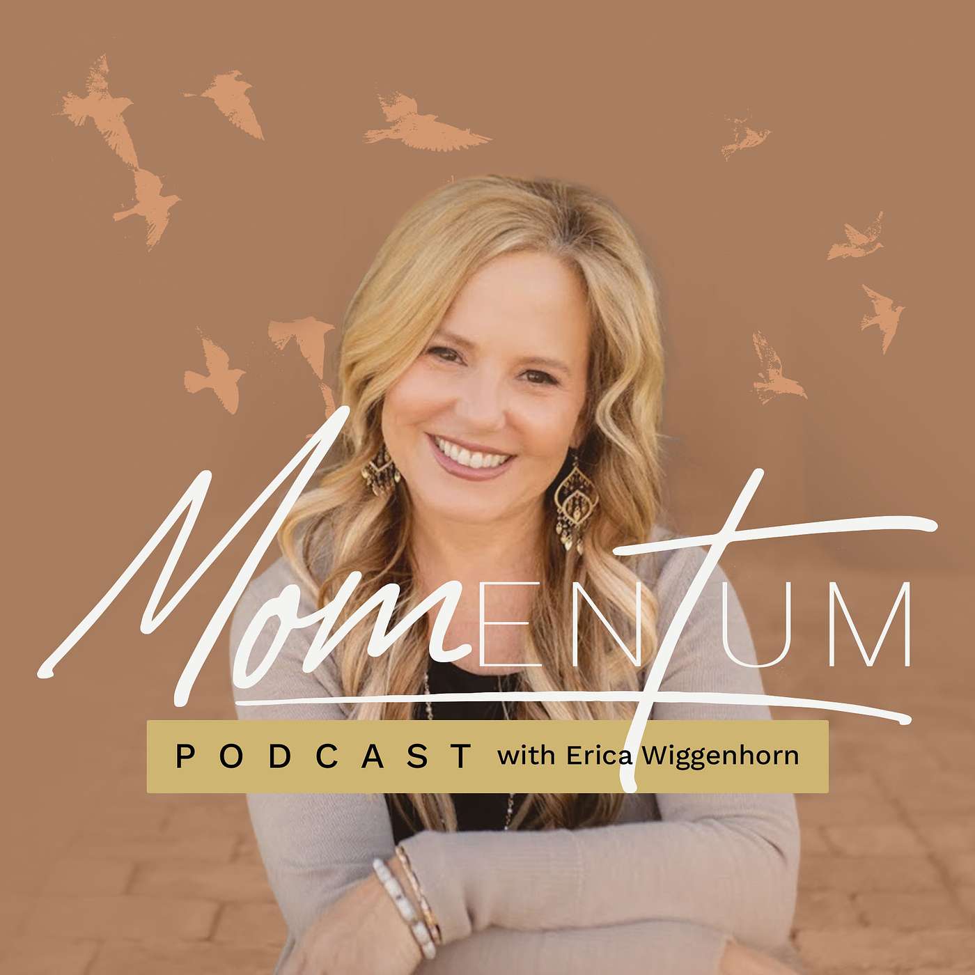 Momentum Podcast with Erica Wiggenhorn podcast artwork