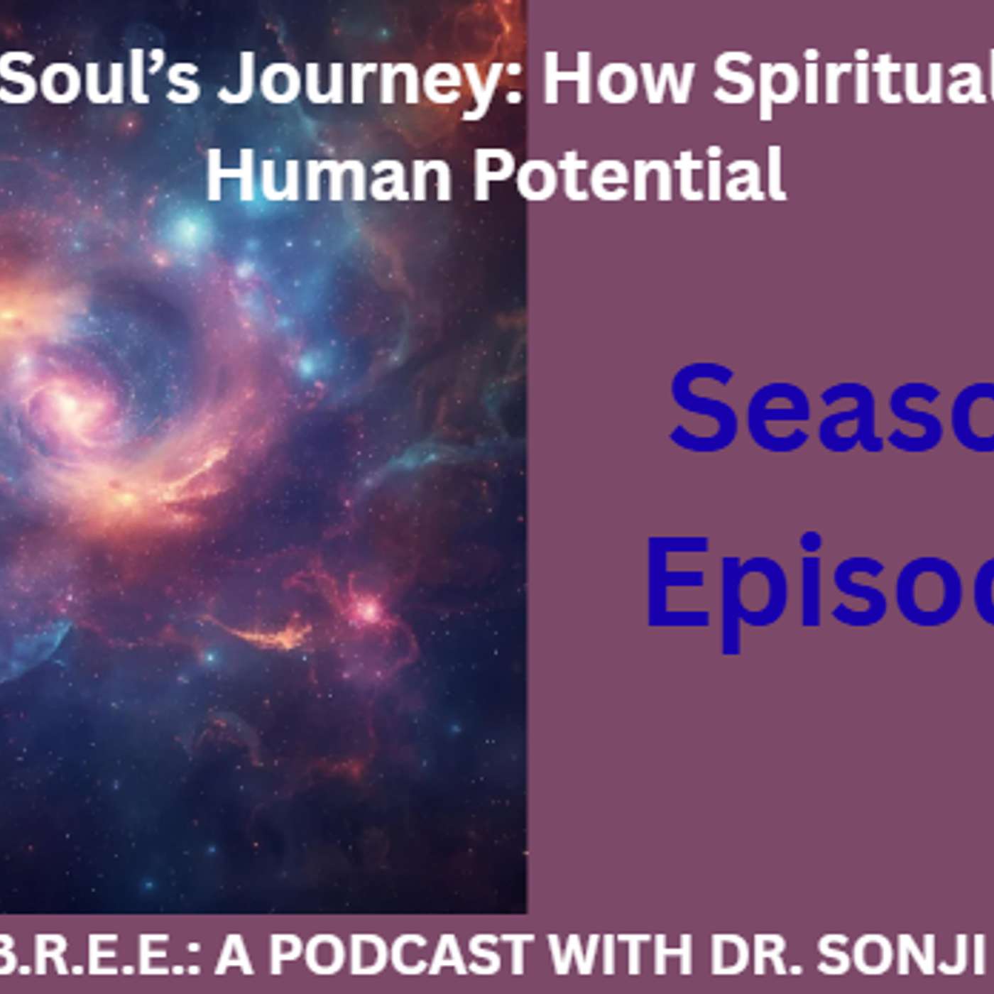 The Soul’s Journey: How Spirituality Shapes Human Potential episode artwork