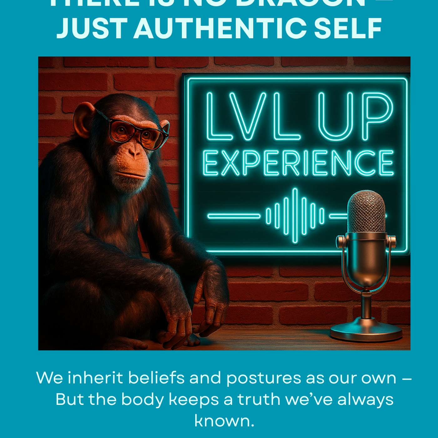 LVL UP Experience