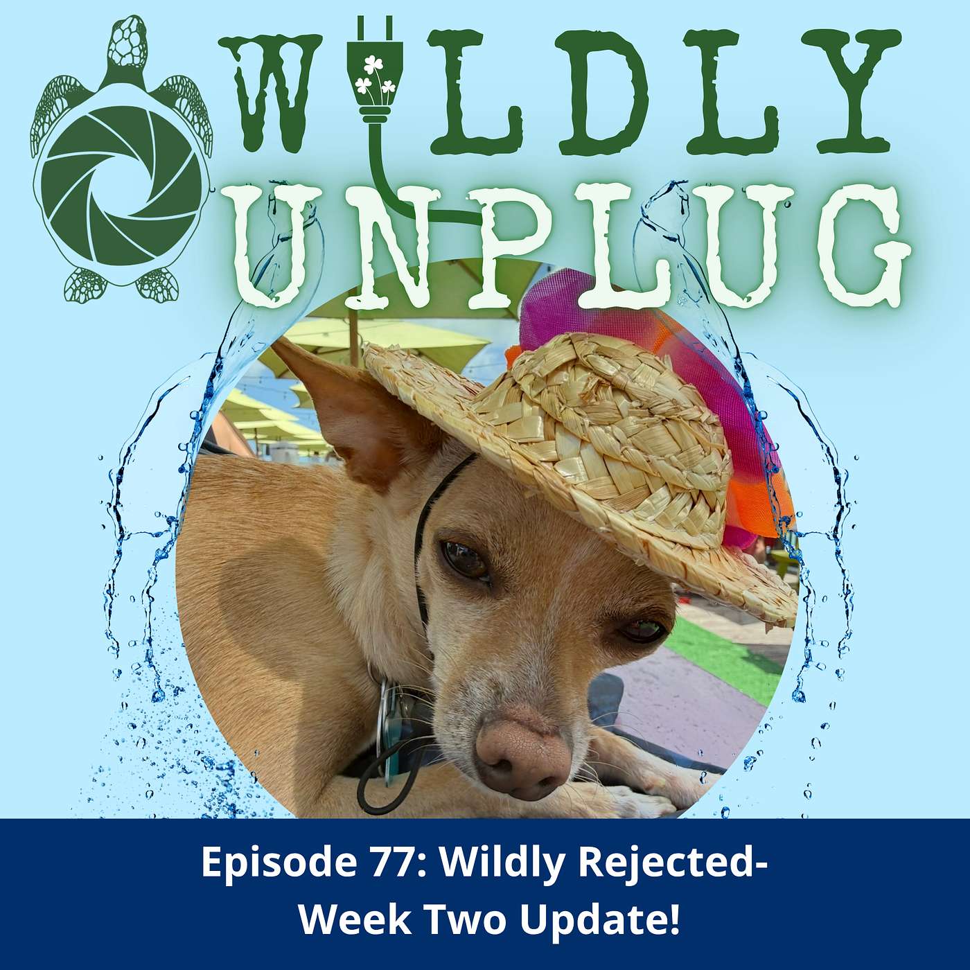 Wildly Rejected- Week Two Update