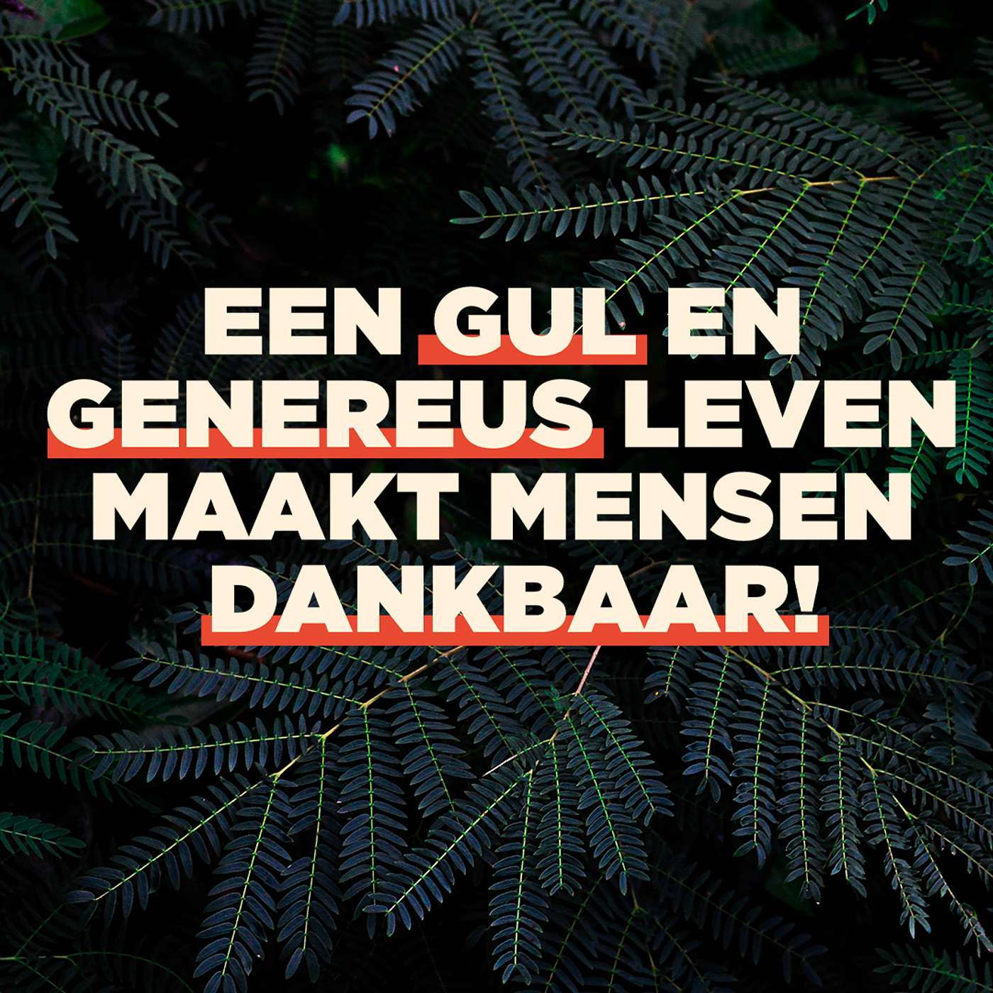 DoorBrekers