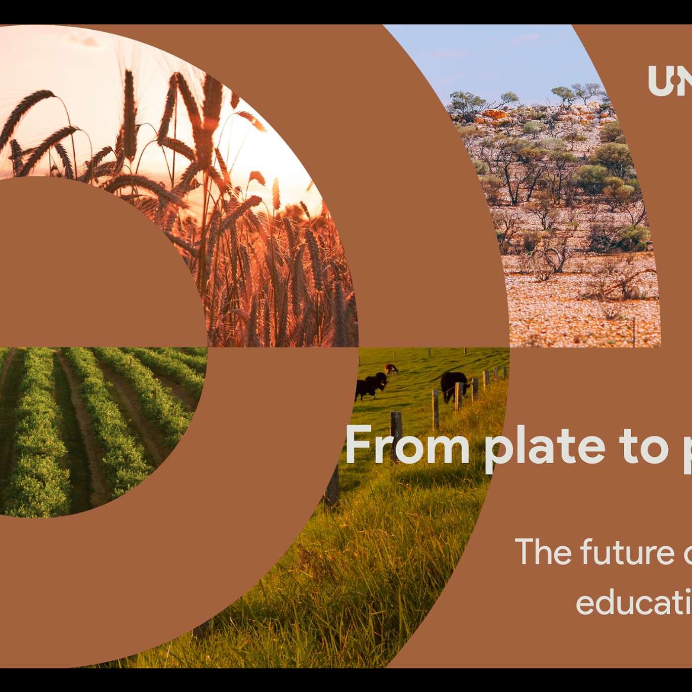 From Plate to Paddock: The future of agriculture education in schools
