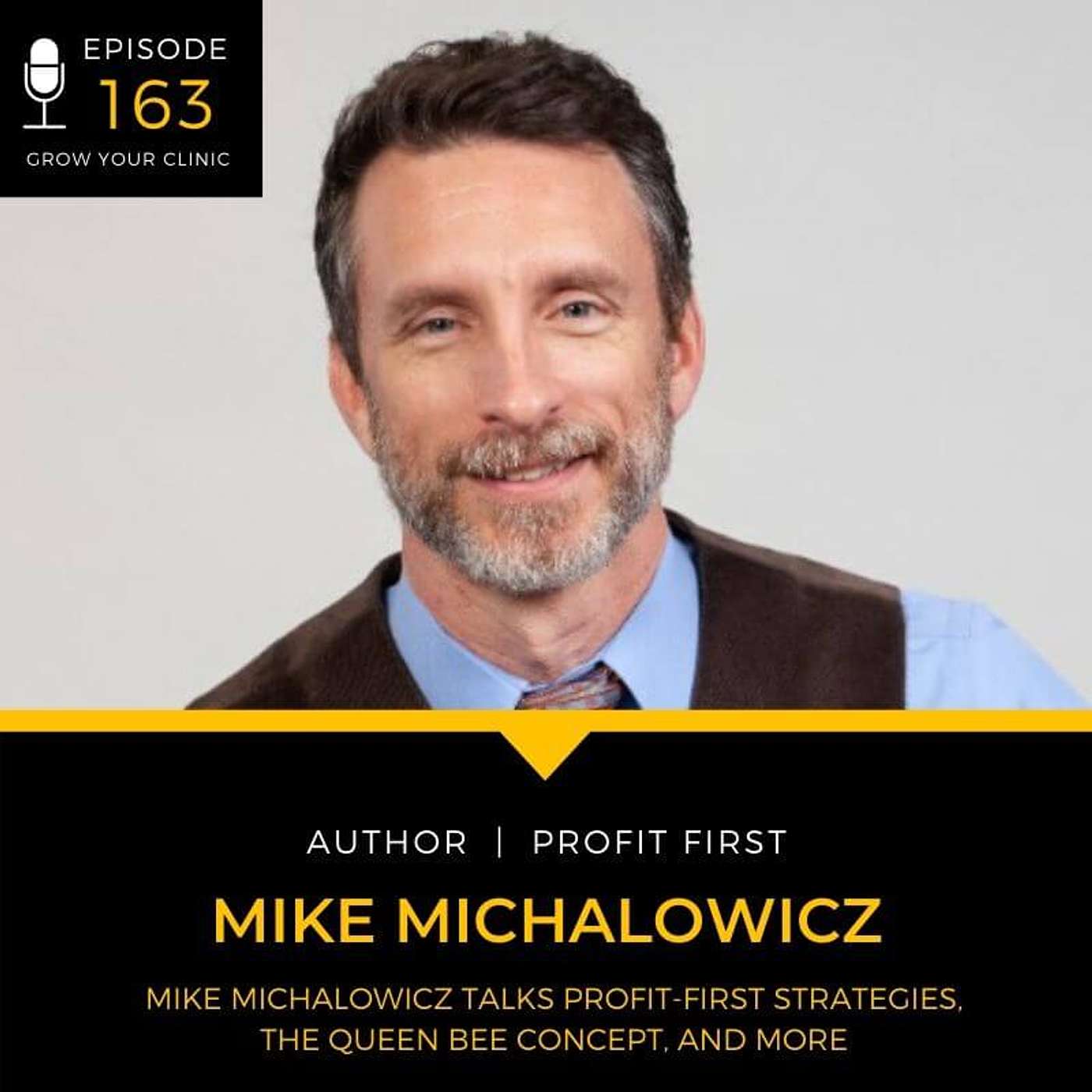 163 - Mike Michalowicz Talks Profit-First Strategies, The Queen Bee Concept, and More episode artwork
