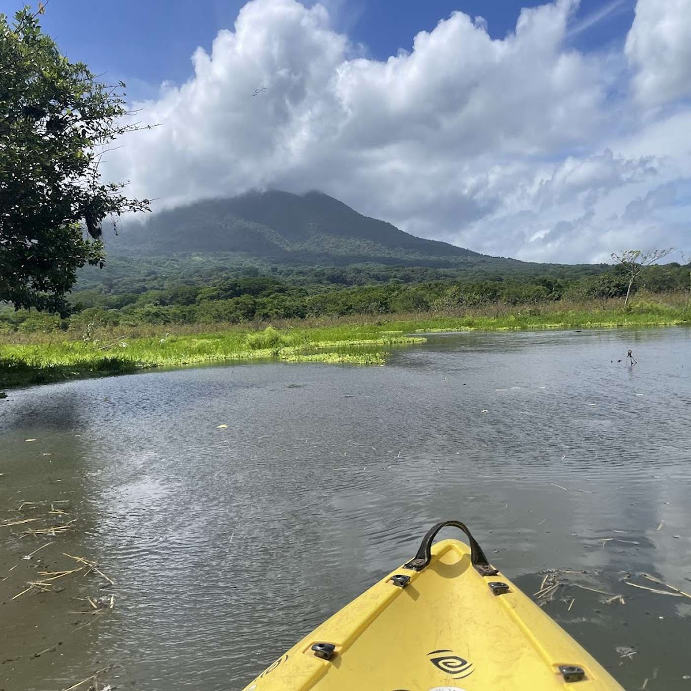 Nicaragua 3: Exploring Ometepe Island’s Wildlife by Kayak Nicaragua 3: Exploring Ometepe Island’s Wildlife by Kayak