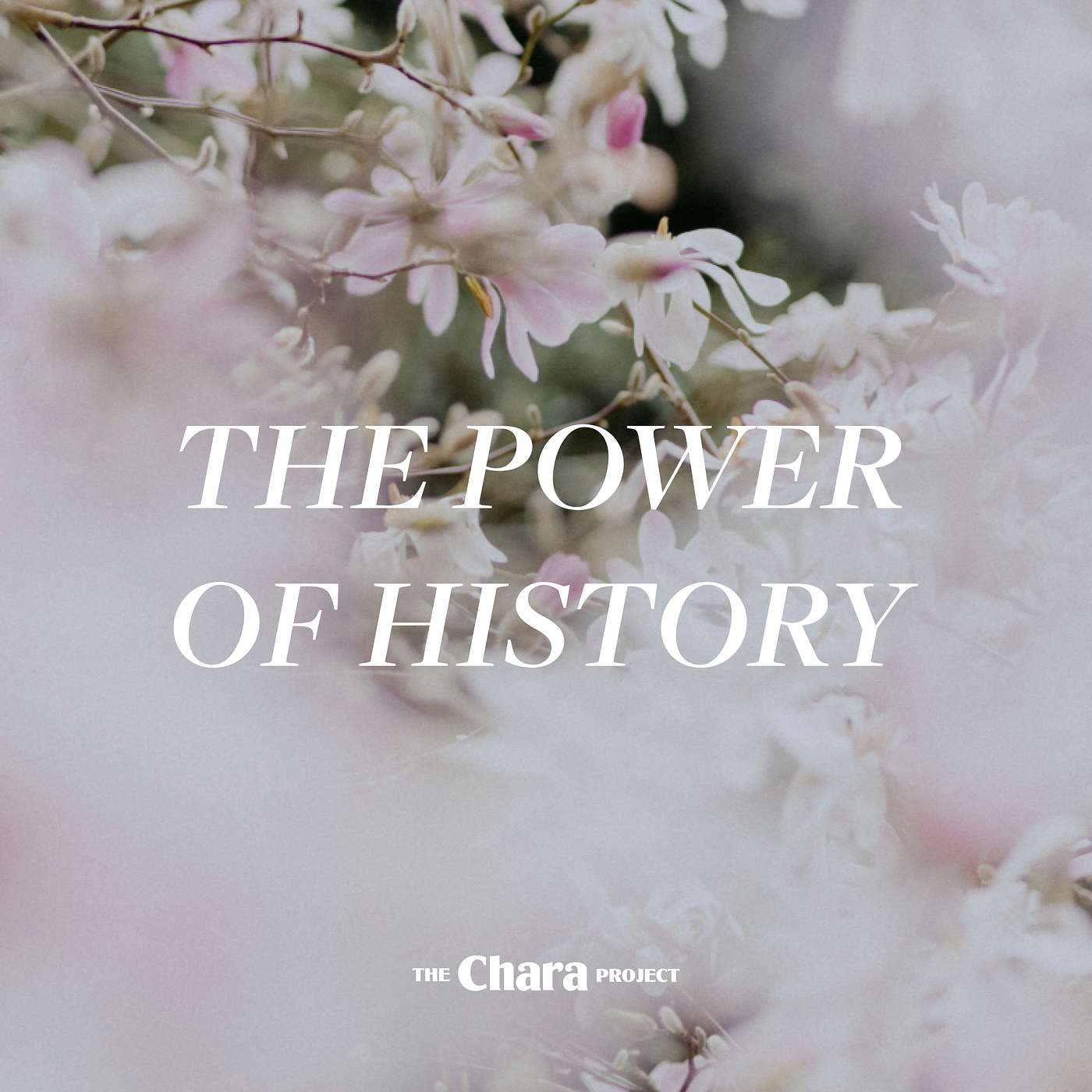 The Chara Project Podcast