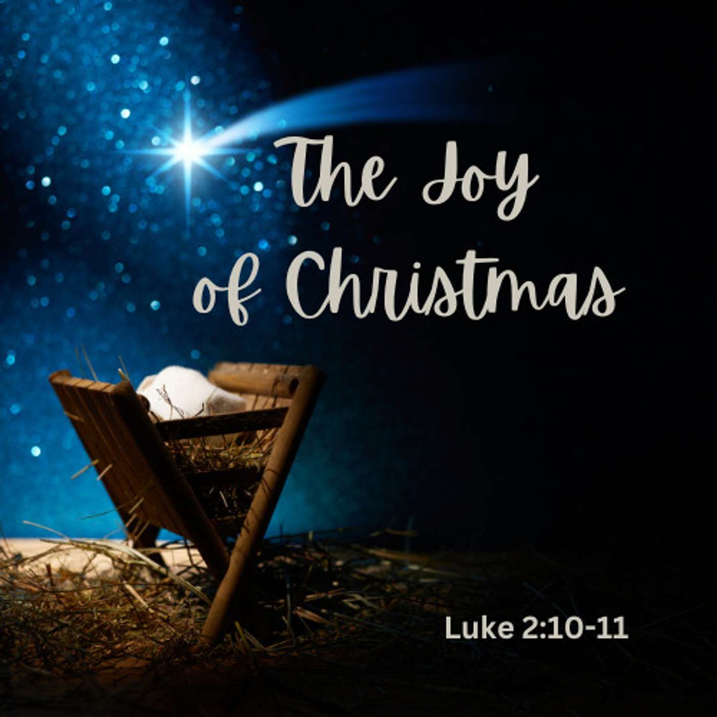 The Joy of Christmas - Combined Service