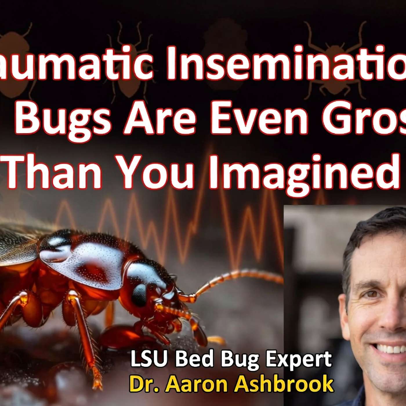 Traumatic Insemination: Bed Bugs Are Even Grosser Than You Imagined